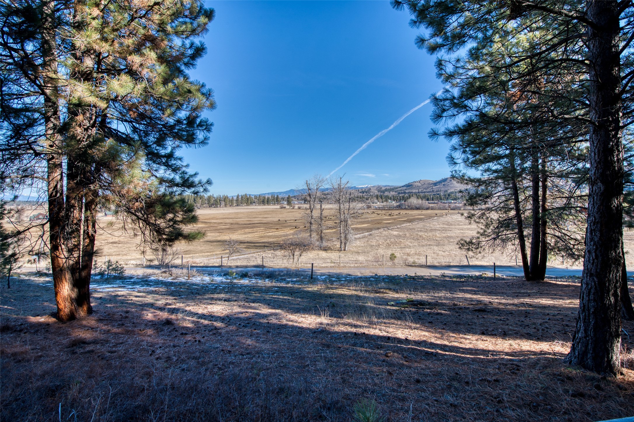 560 Camas Creek Loop