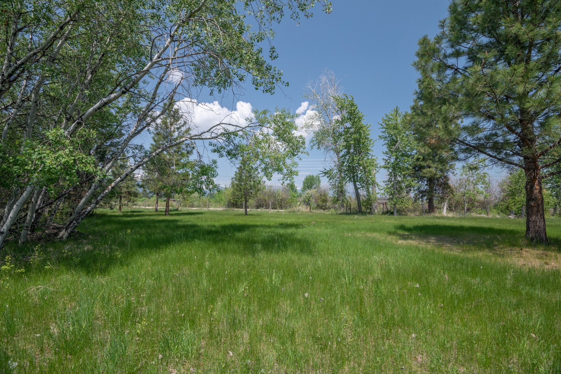 1427 Burr Ridge Road