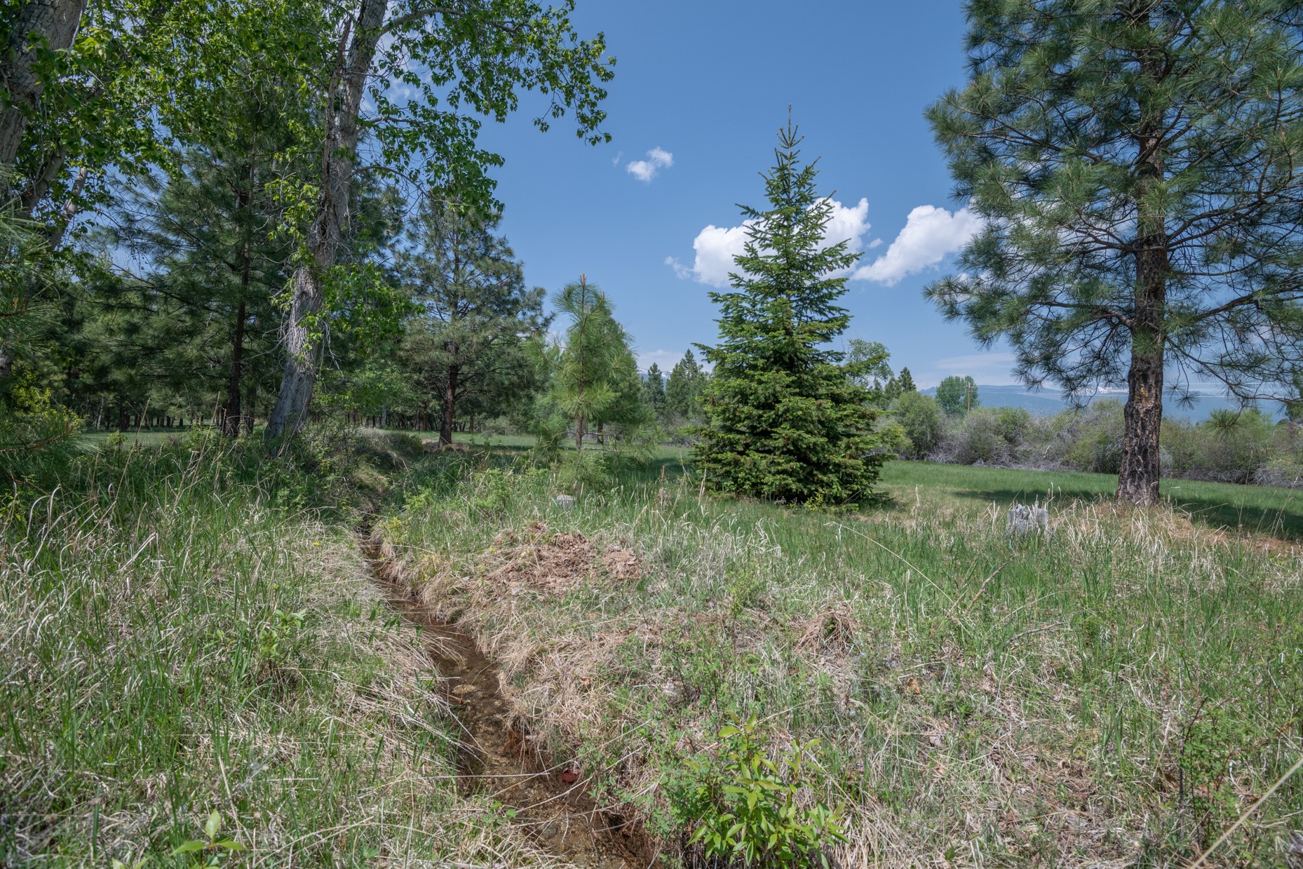 1427 Burr Ridge Road