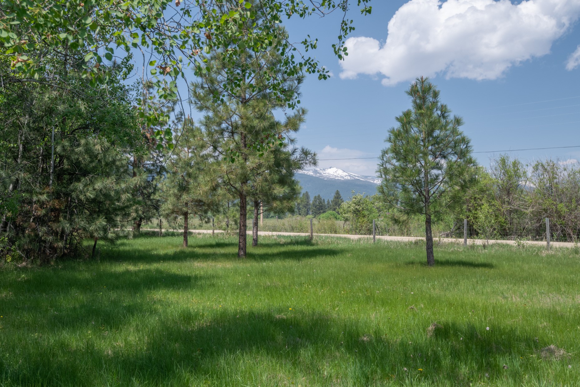 1427 Burr Ridge Road