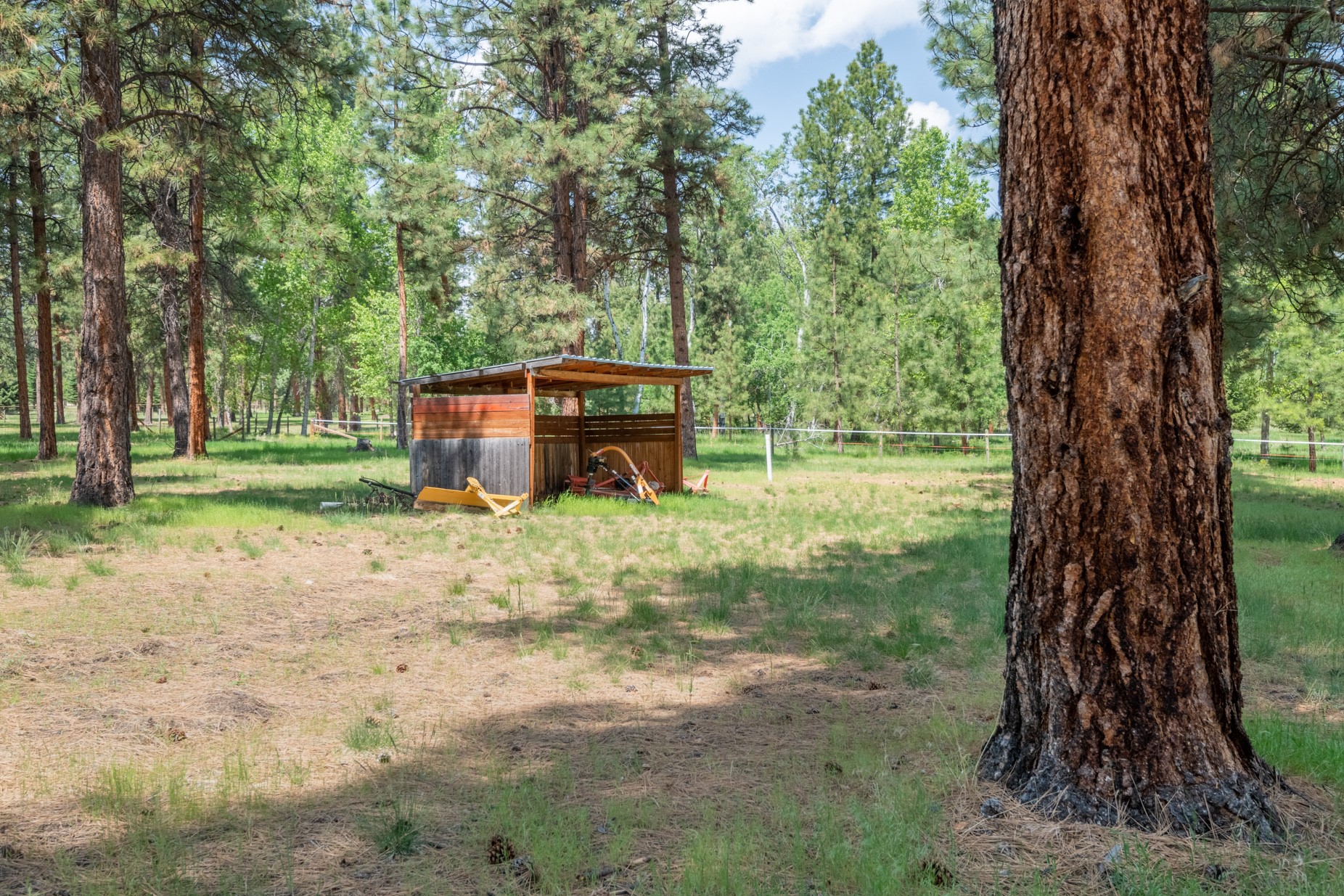 1427 Burr Ridge Road