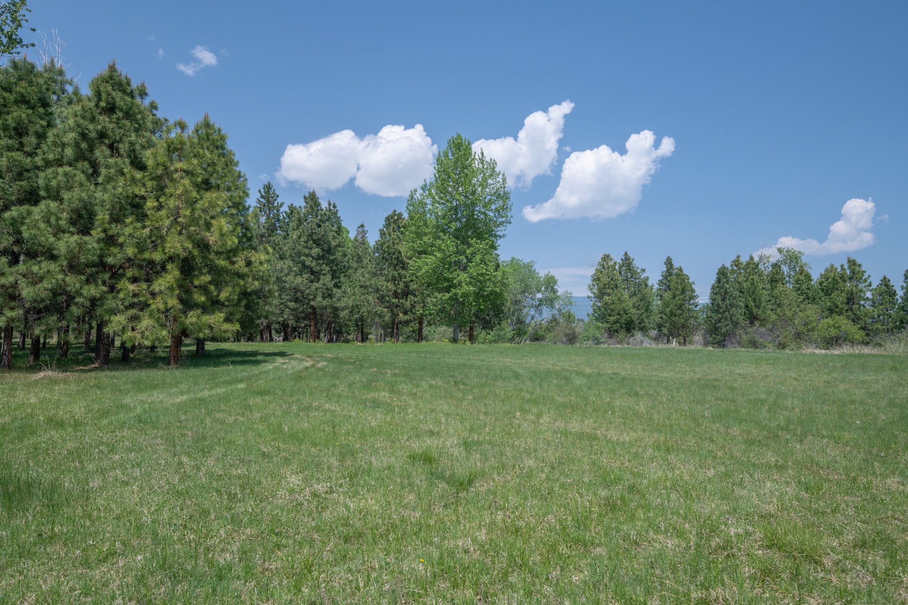 1427 Burr Ridge Road