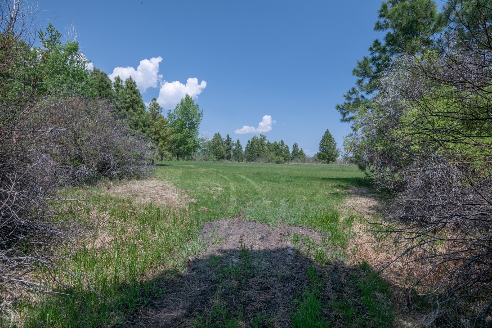 1427 Burr Ridge Road