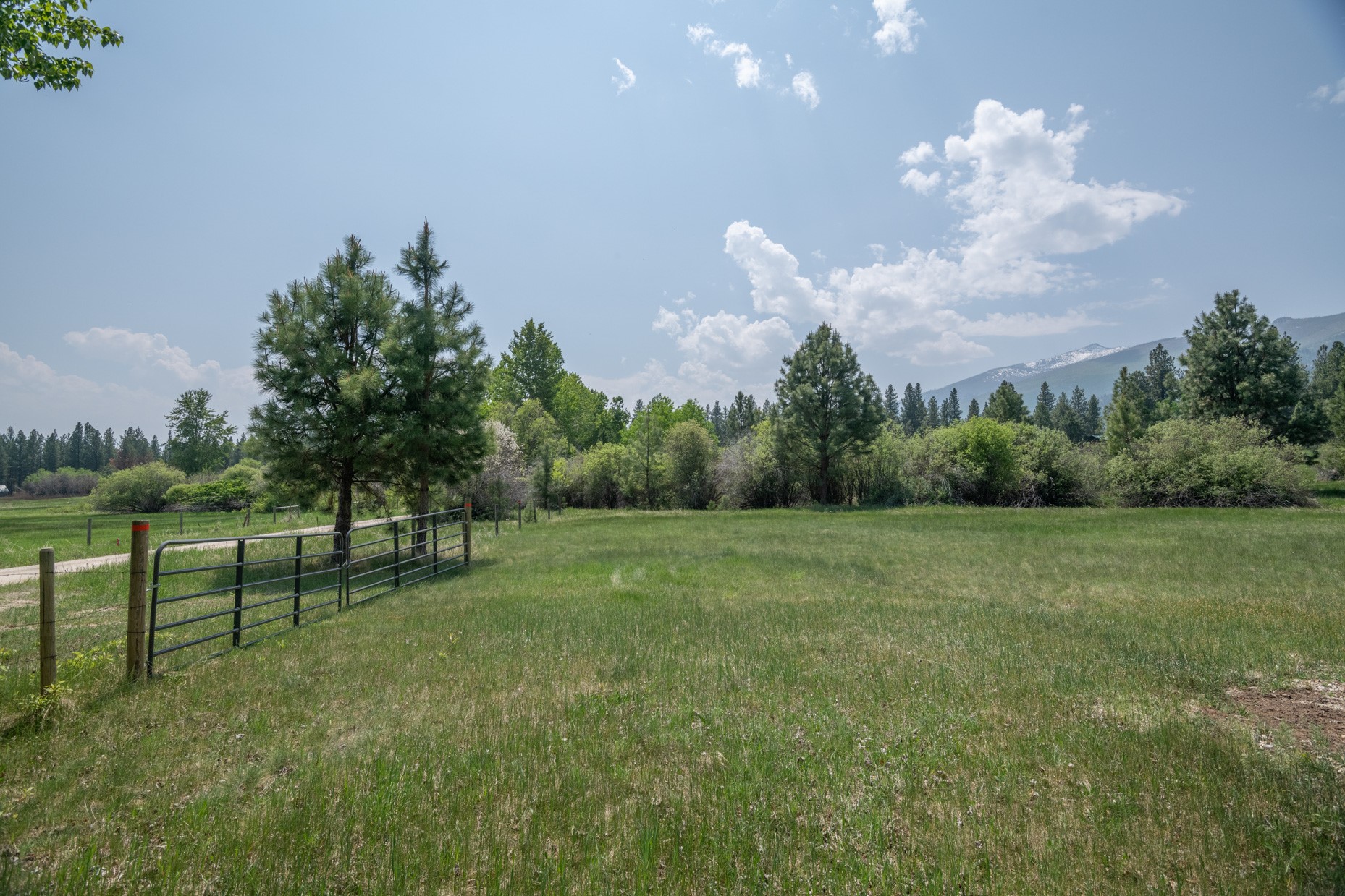 1427 Burr Ridge Road