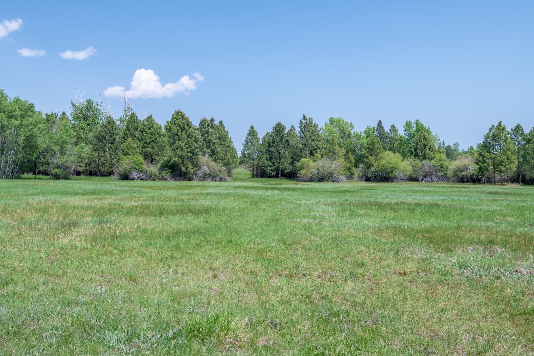 1427 Burr Ridge Road