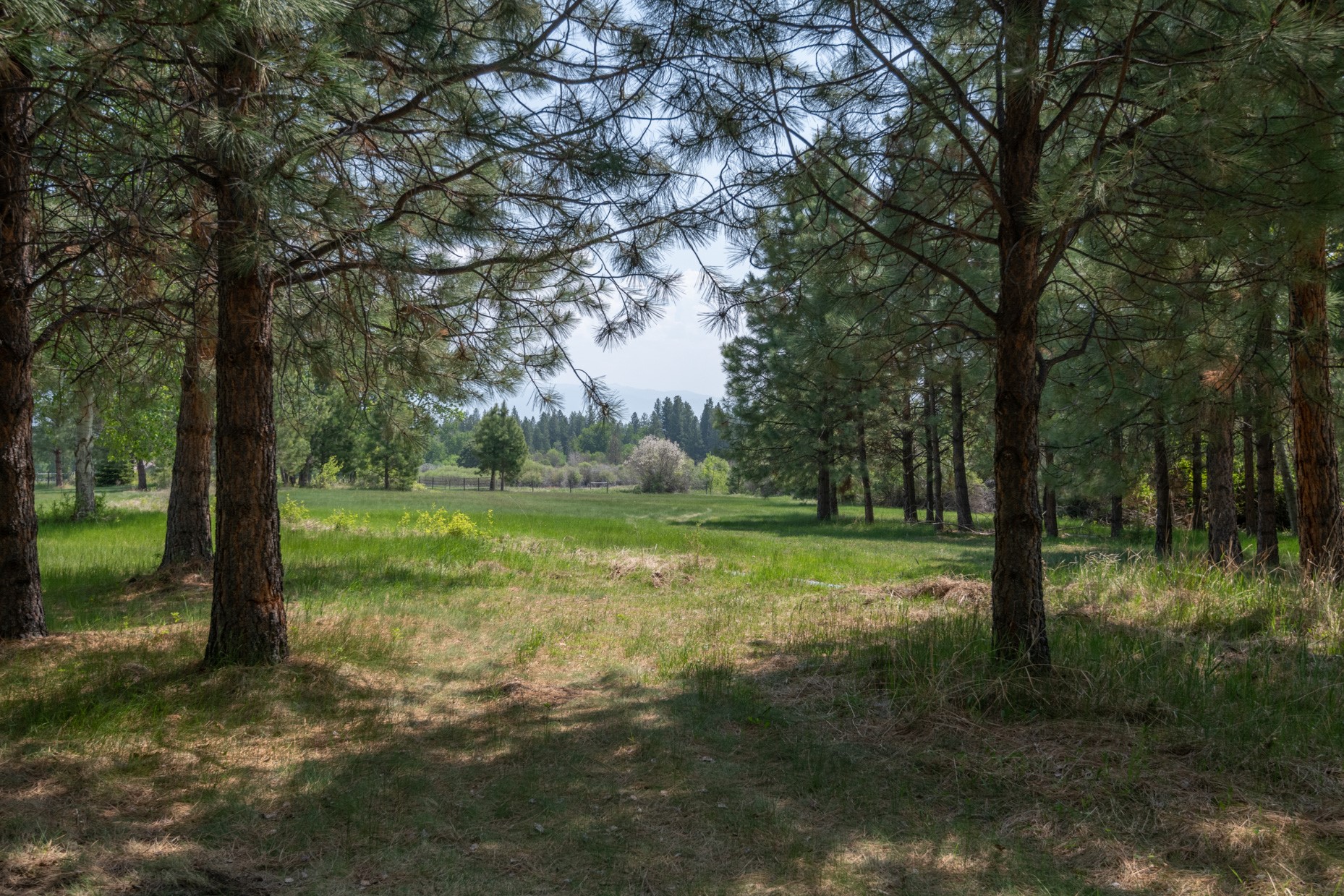 1427 Burr Ridge Road