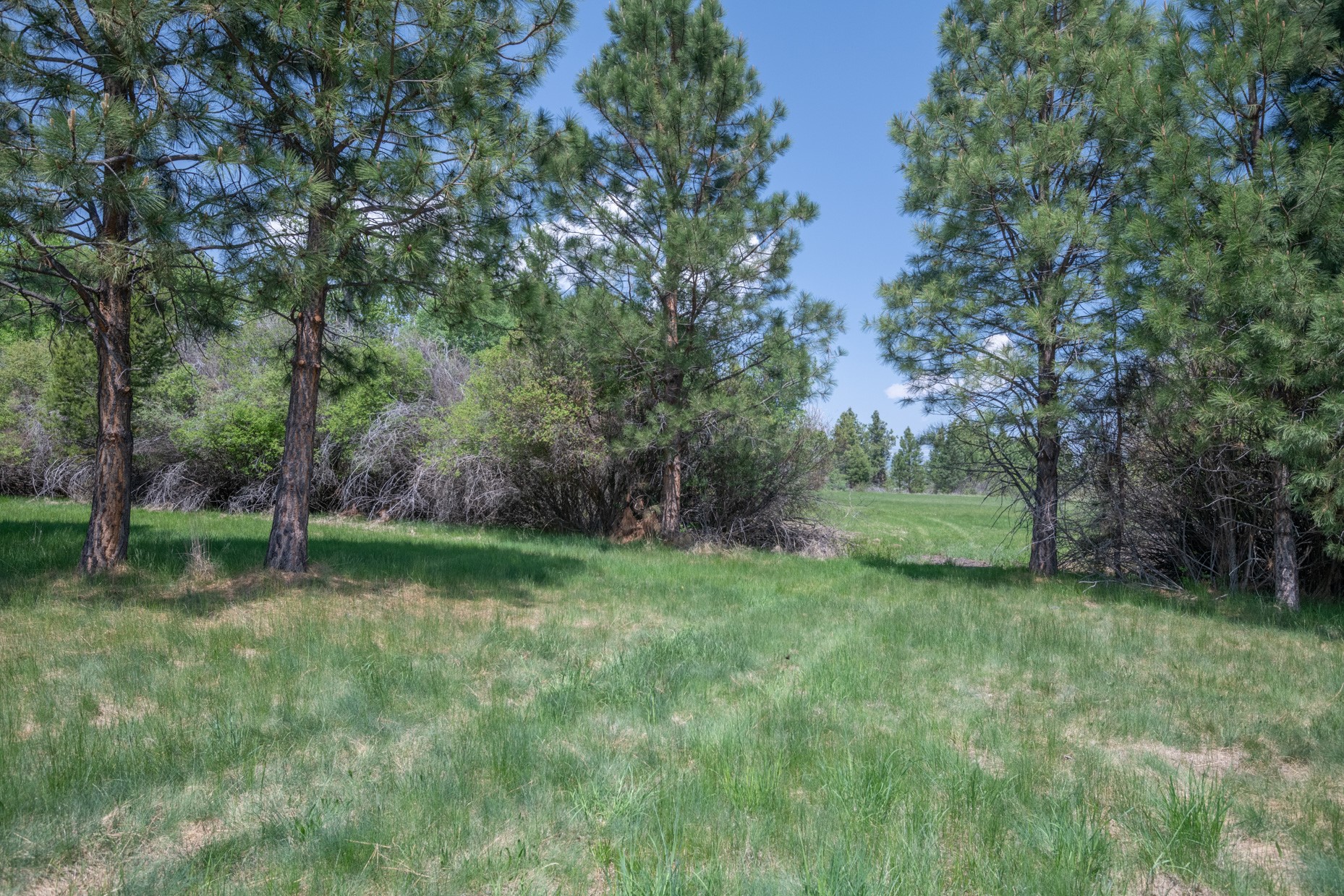 1427 Burr Ridge Road