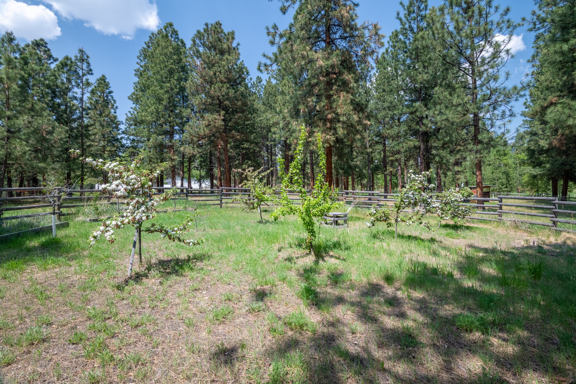 1427 Burr Ridge Road