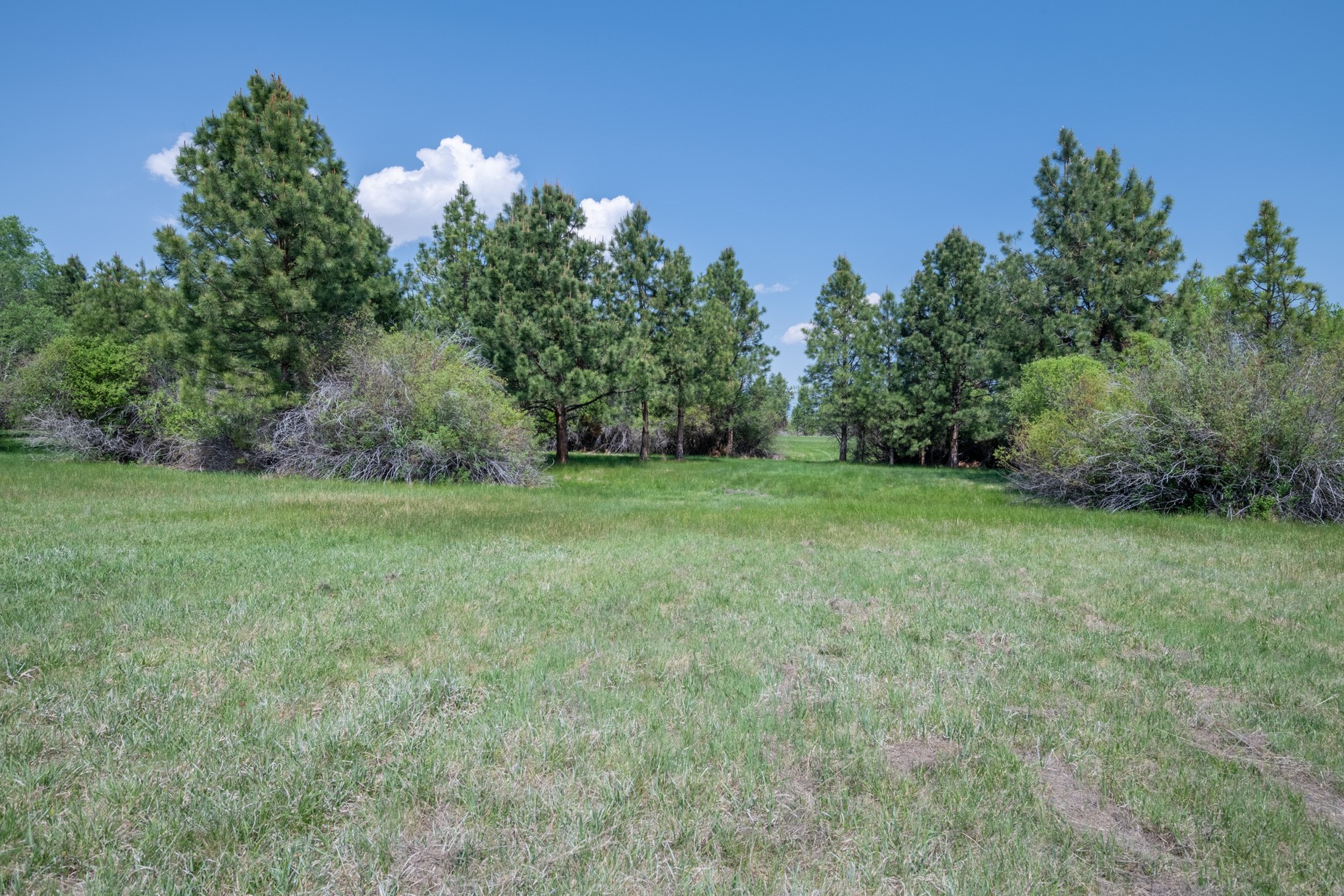 1427 Burr Ridge Road