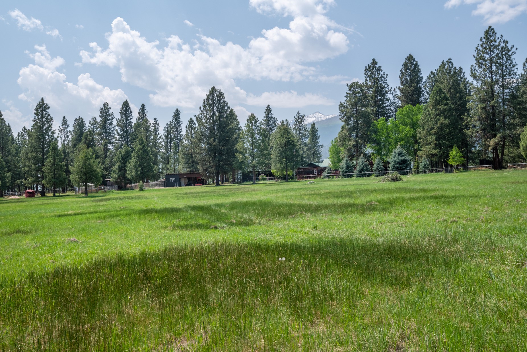 1427 Burr Ridge Road