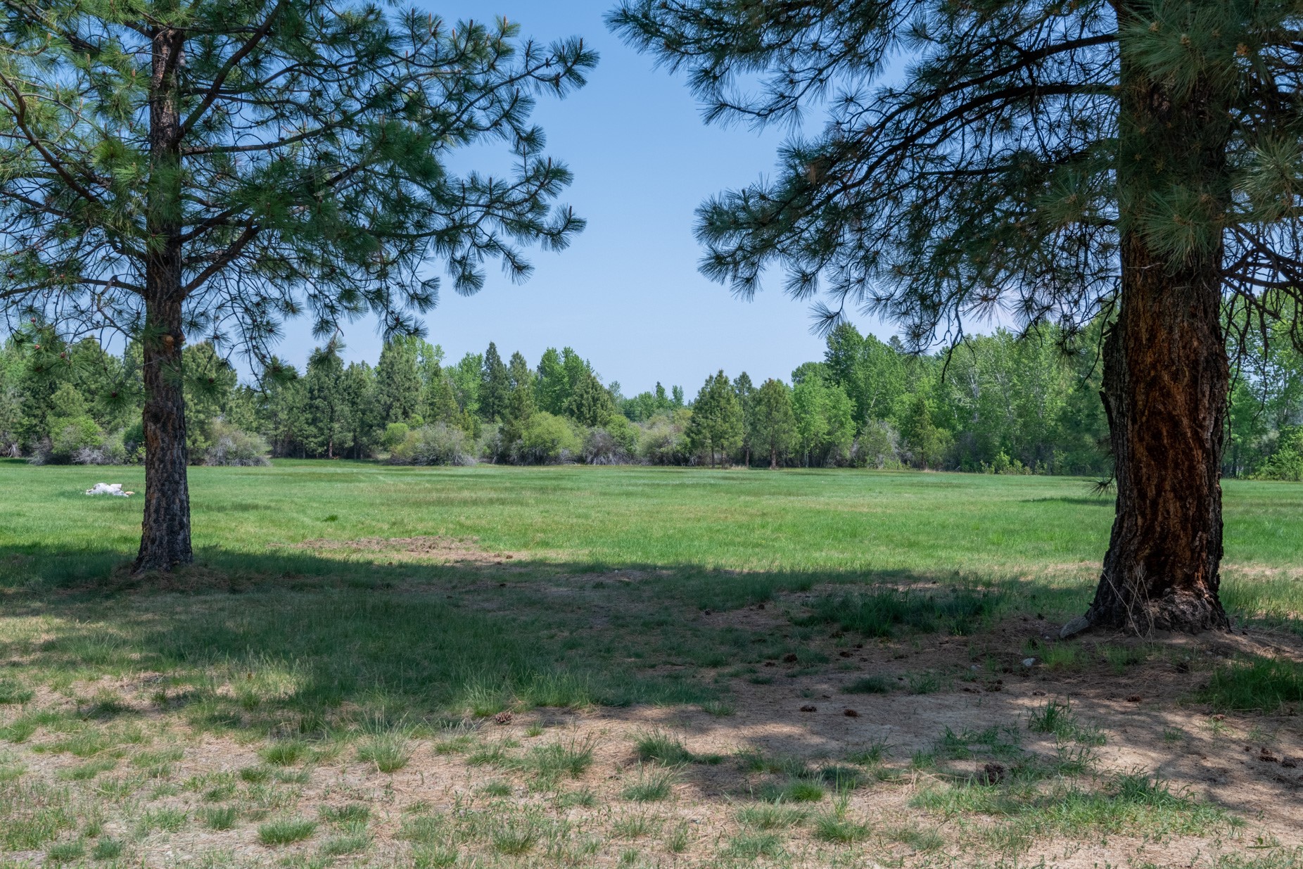 1427 Burr Ridge Road