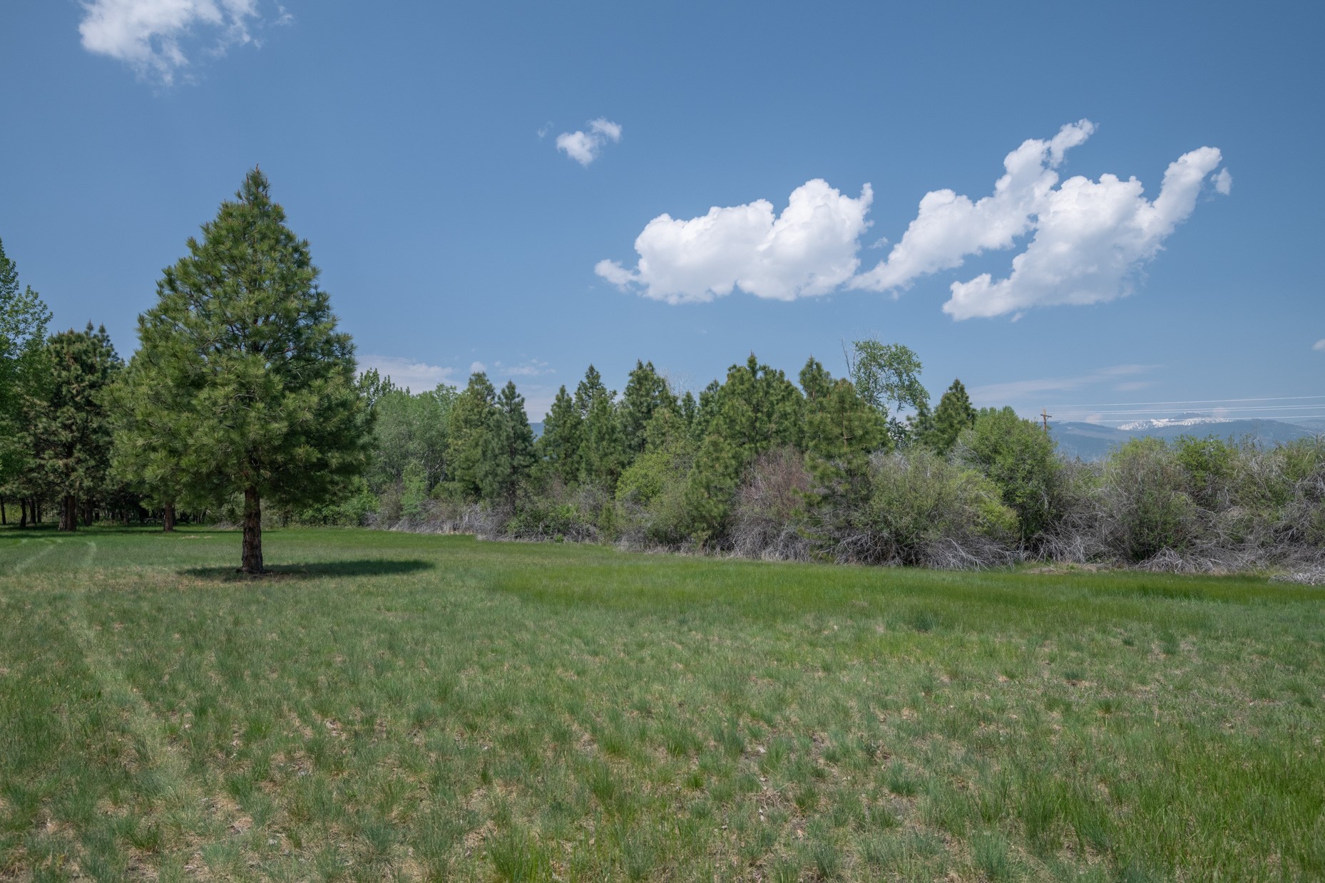 1427 Burr Ridge Road