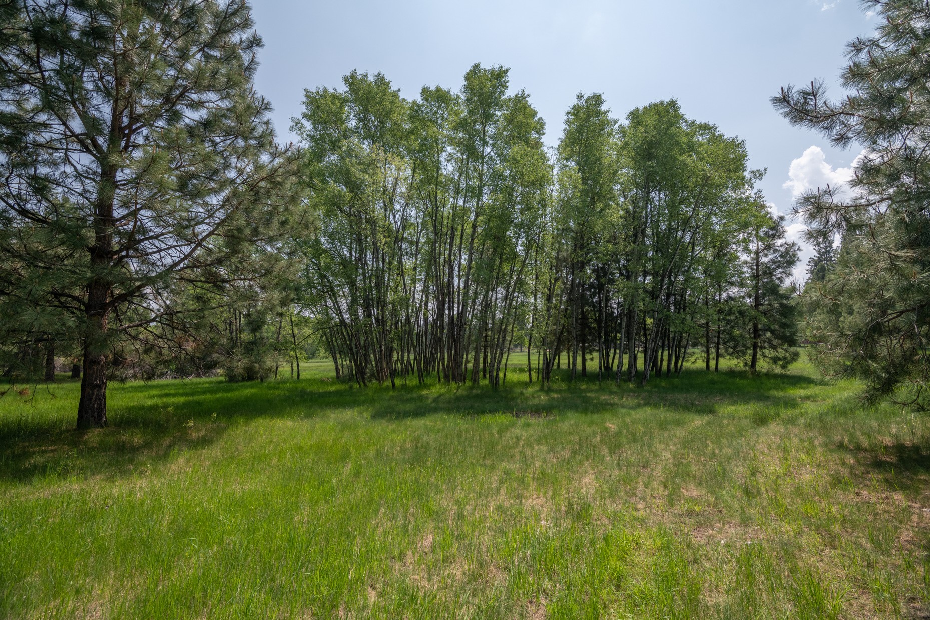 1427 Burr Ridge Road
