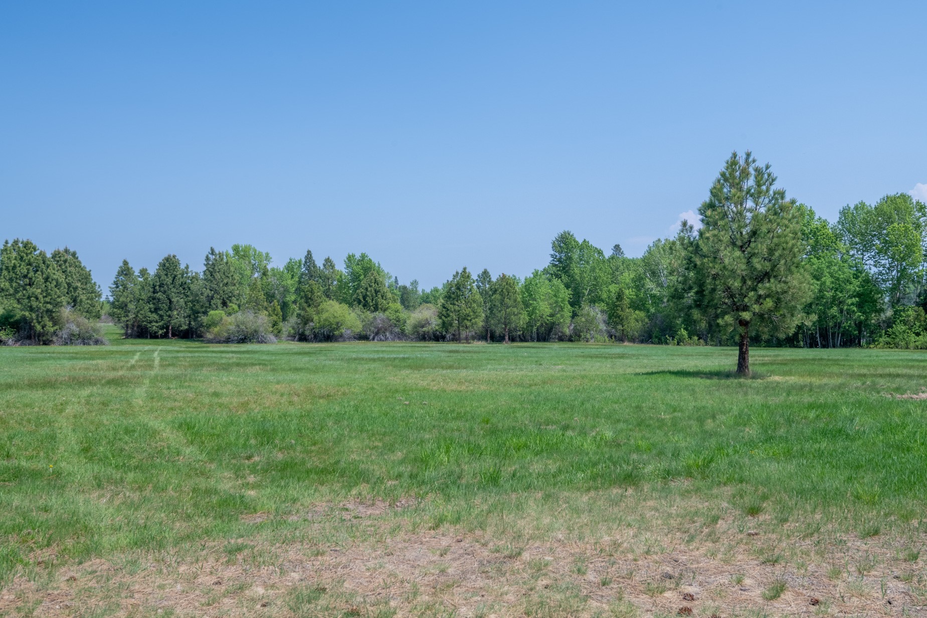 1427 Burr Ridge Road