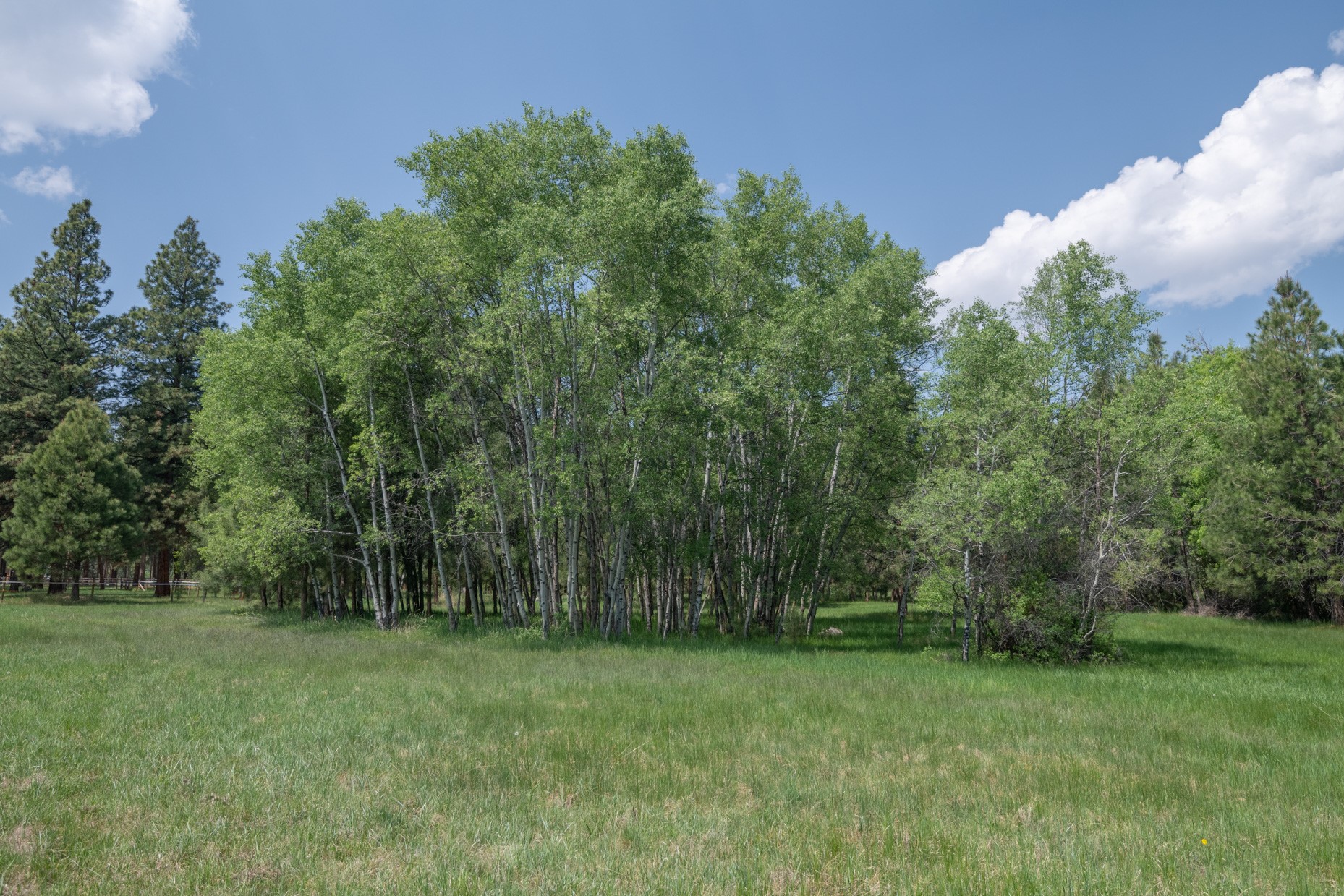 1427 Burr Ridge Road