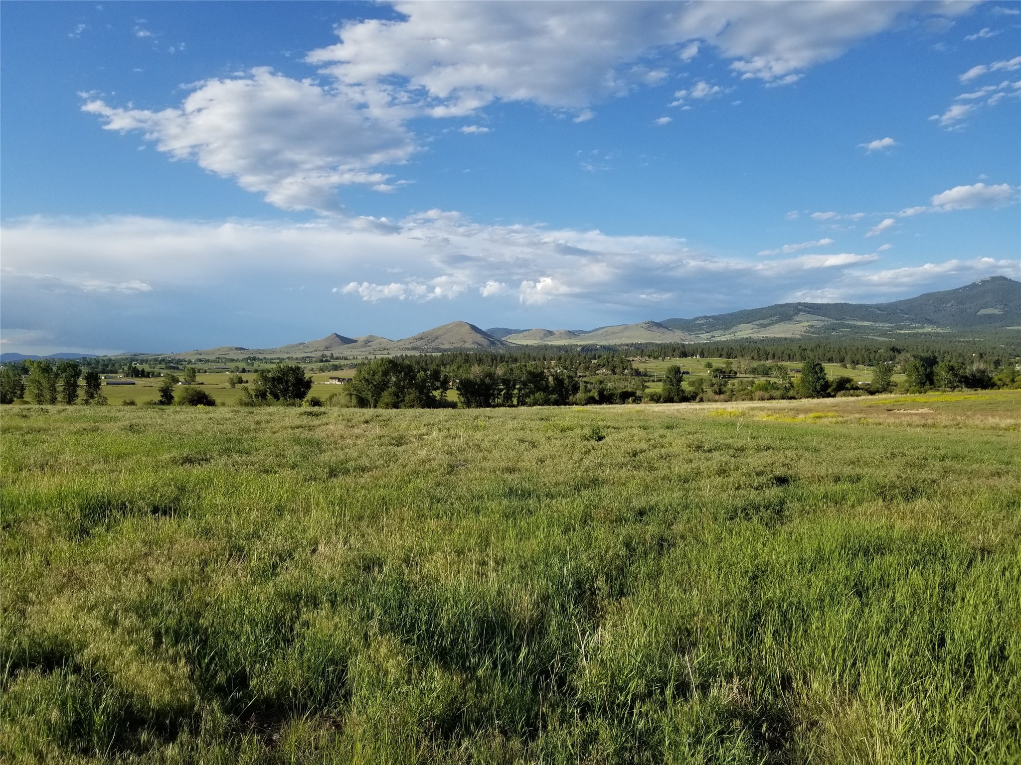 659 Stone Creek Loop