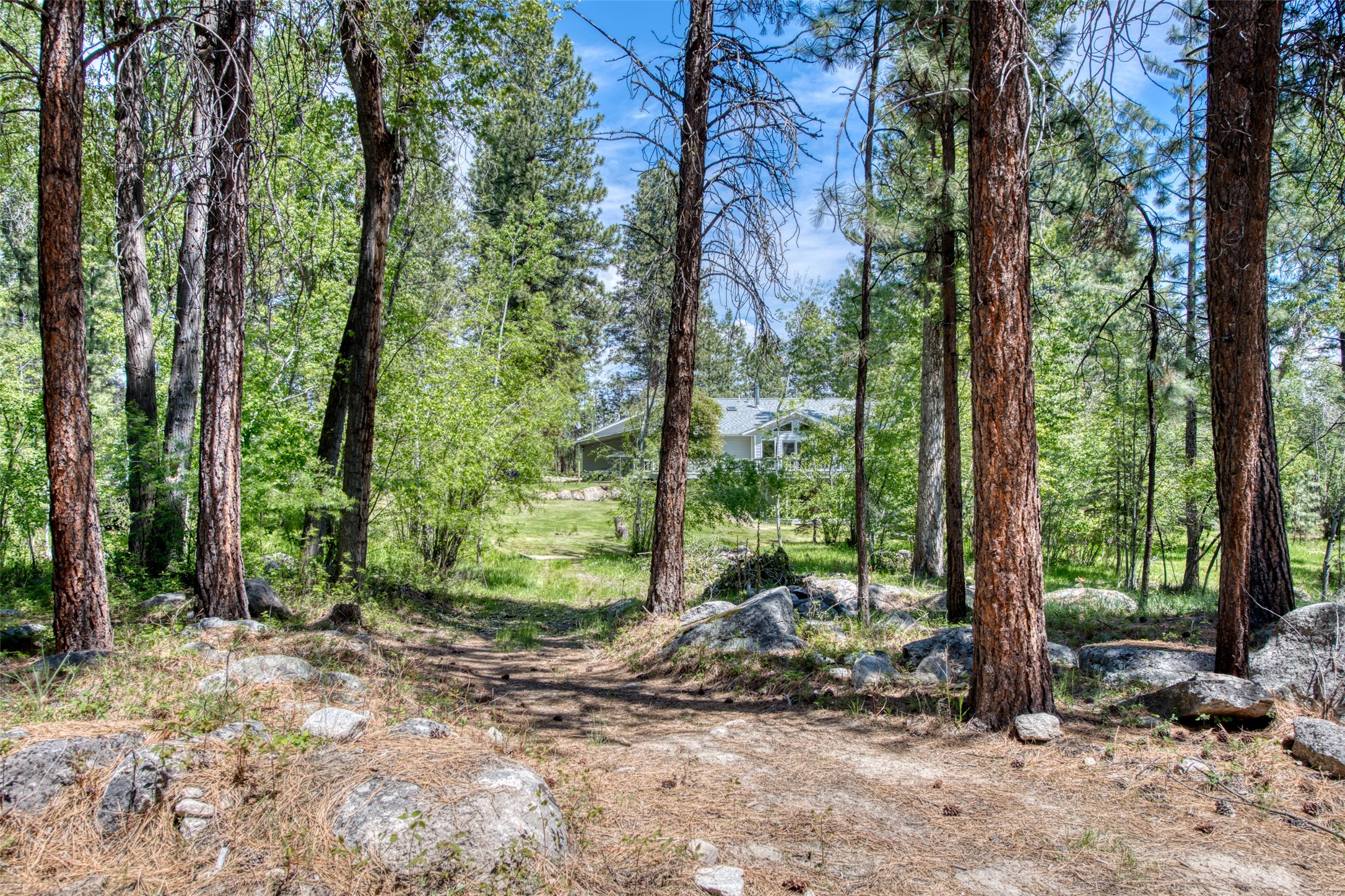 203 Wyant Lane