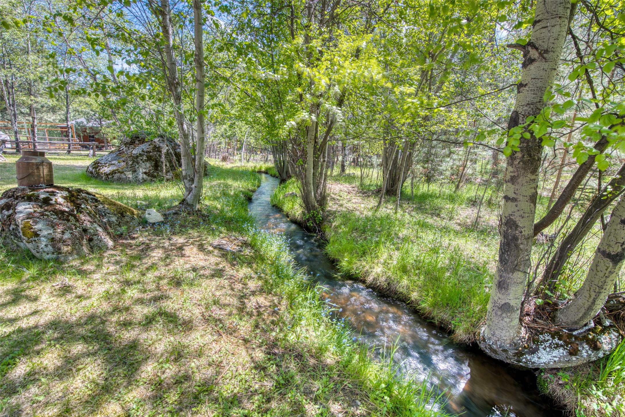 203 Wyant Lane