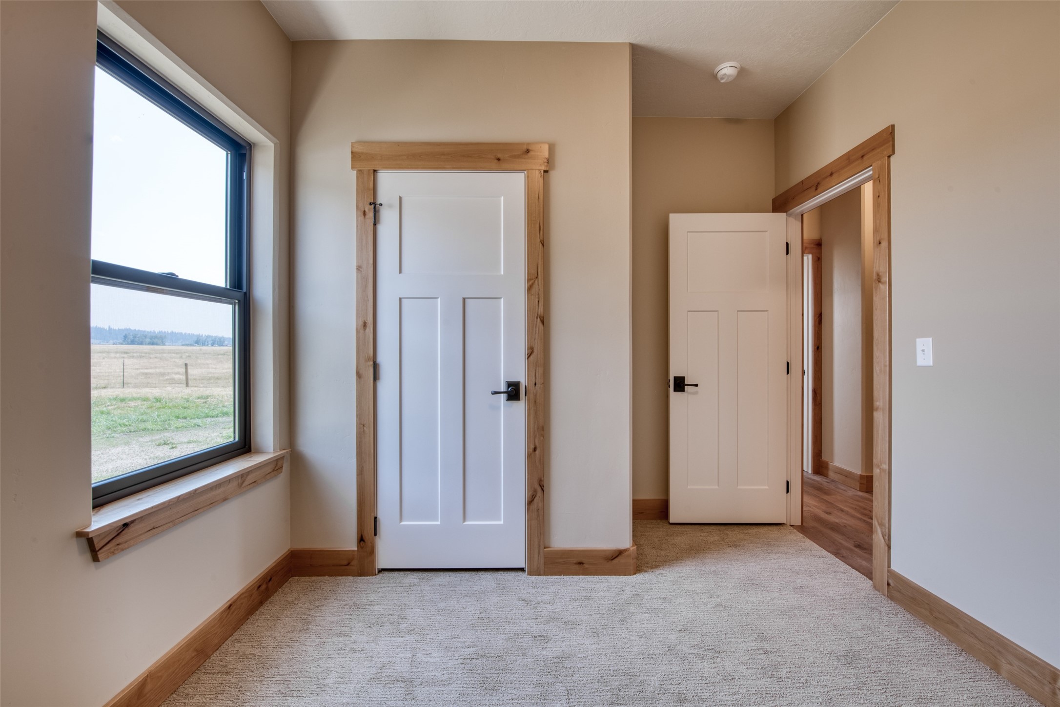 311 Sassafras Court