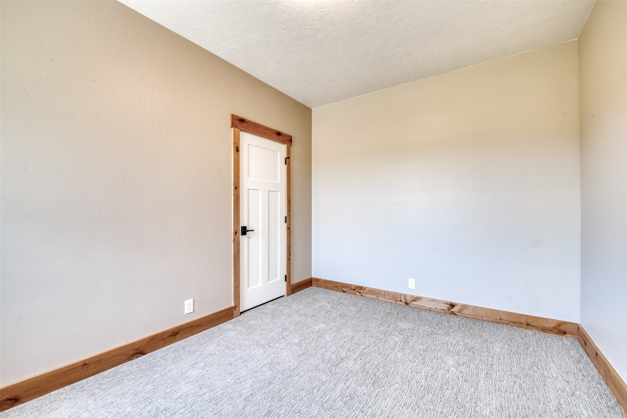 311 Sassafras Court