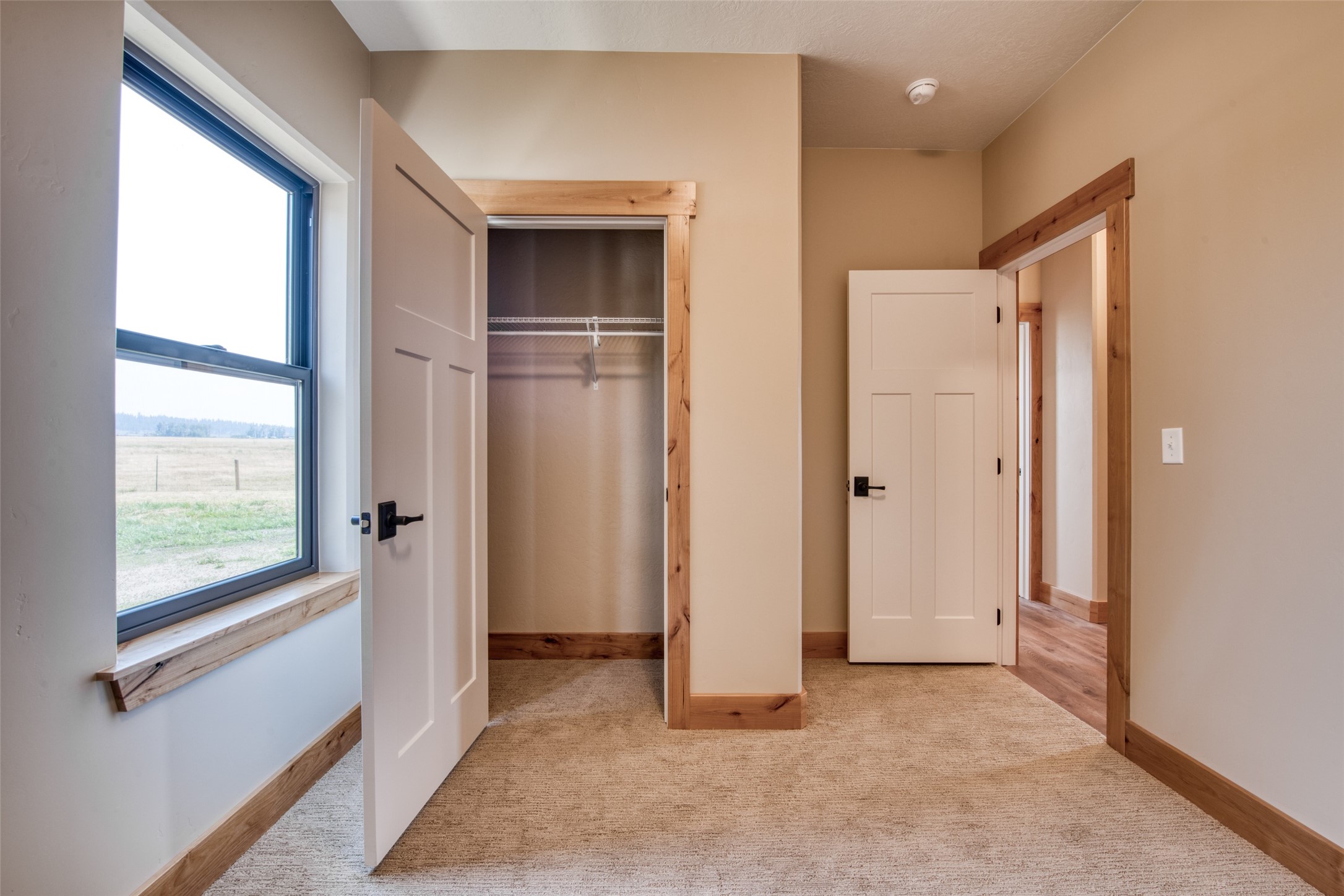 311 Sassafras Court