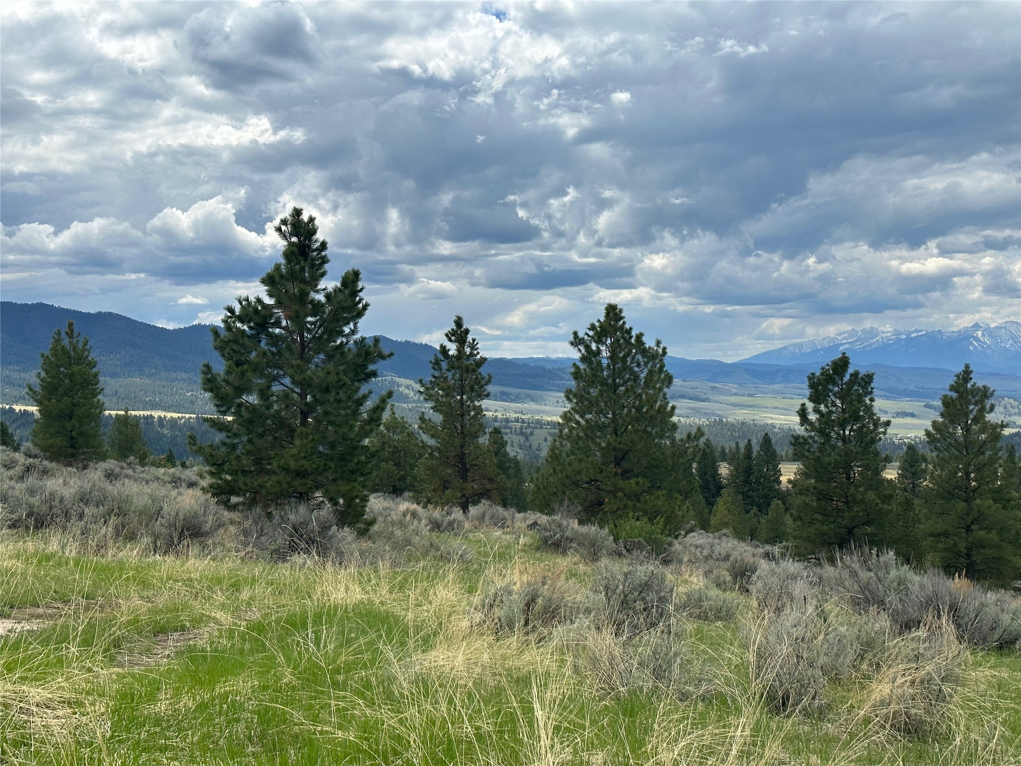 299 Flying Lead Ridge