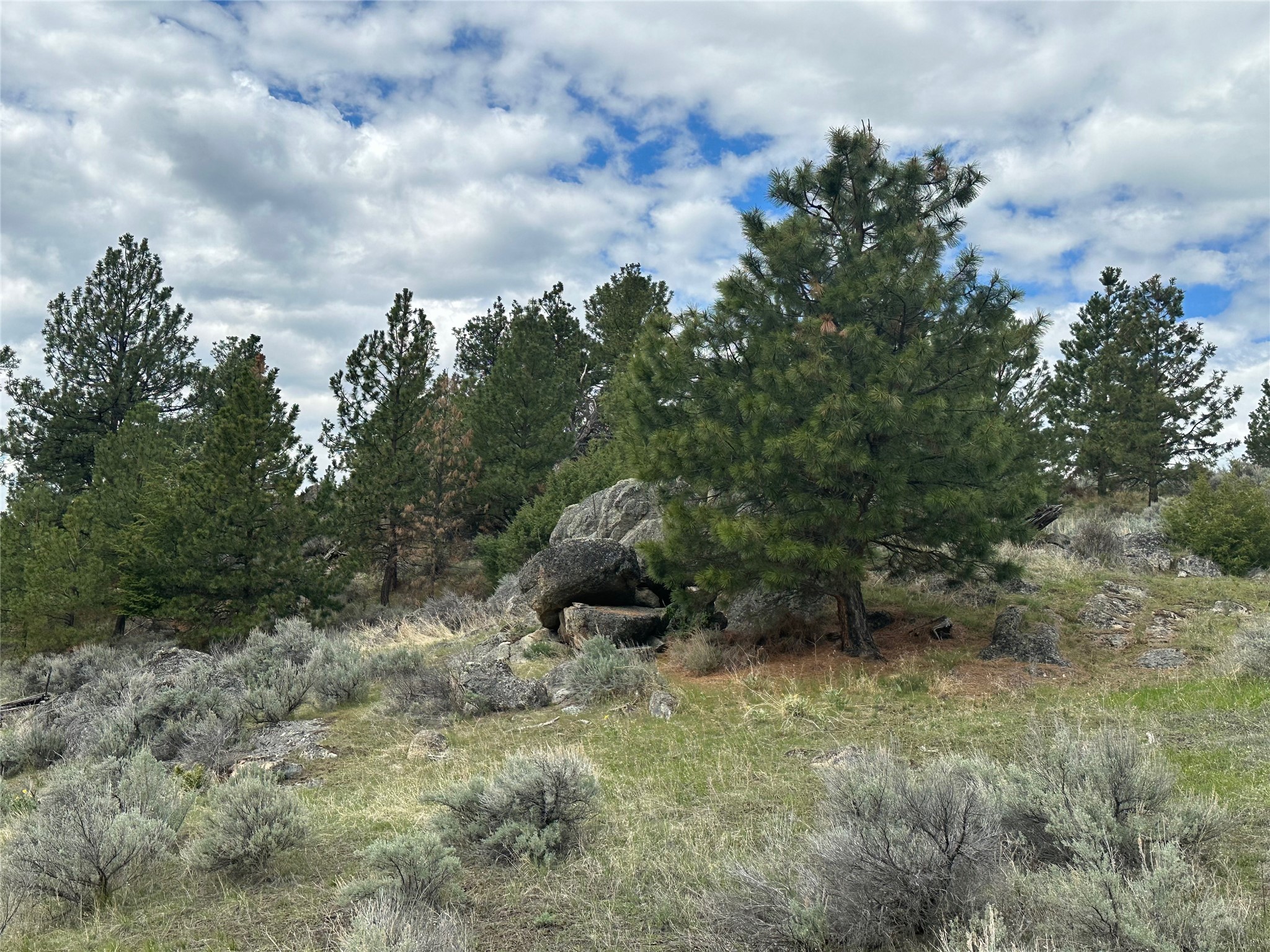 299 Flying Lead Ridge