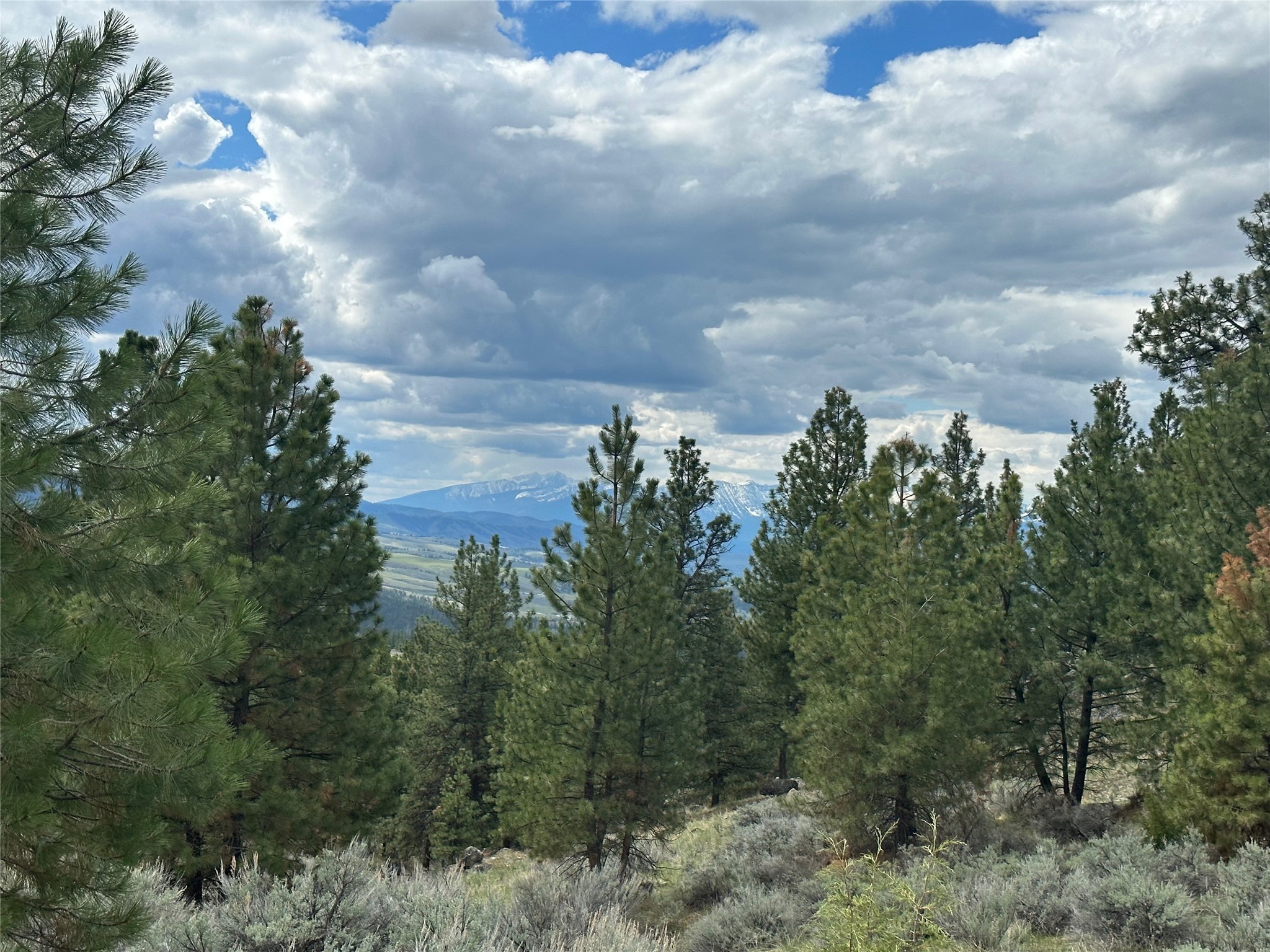 299 Flying Lead Ridge
