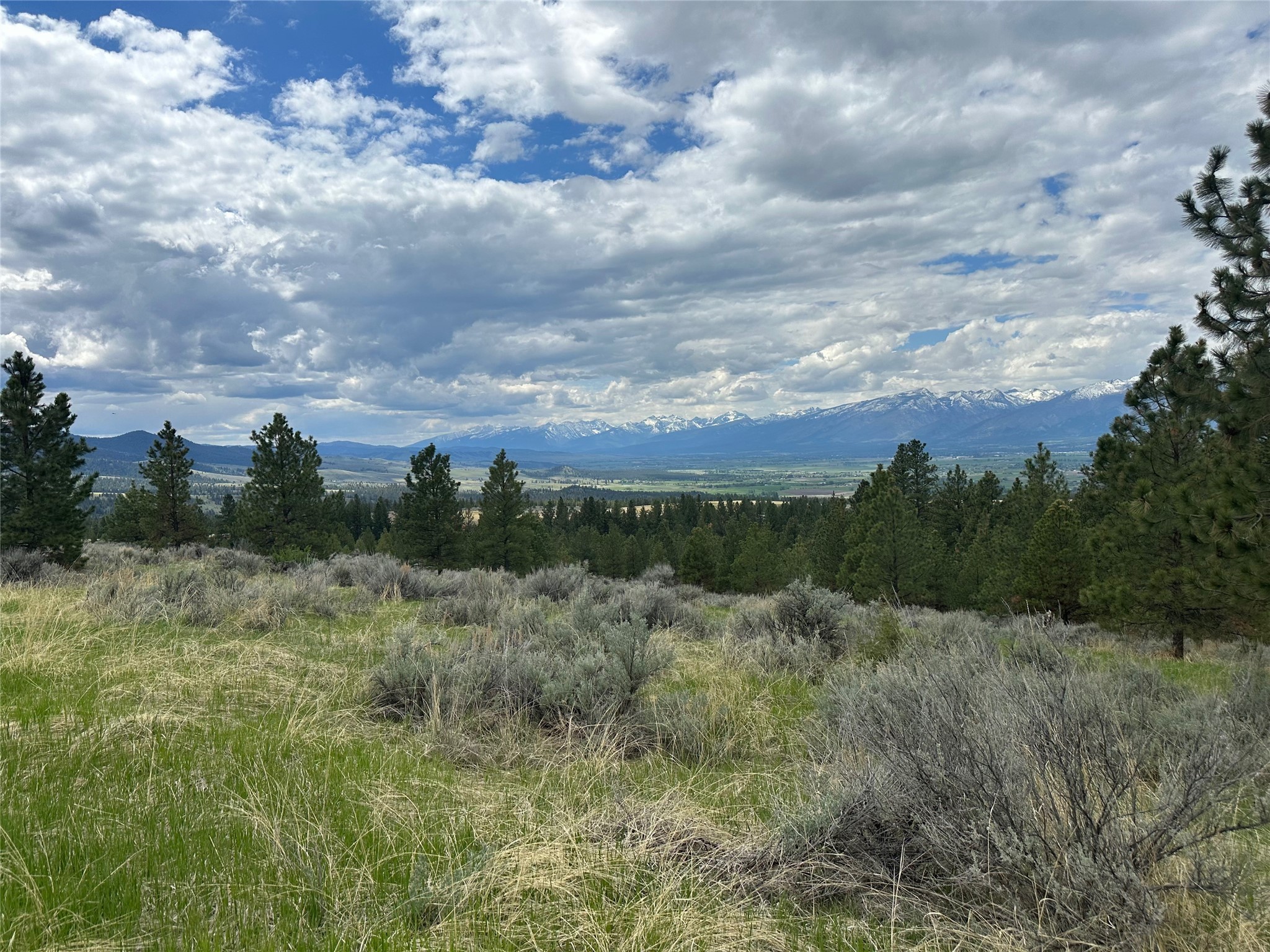 299 Flying Lead Ridge