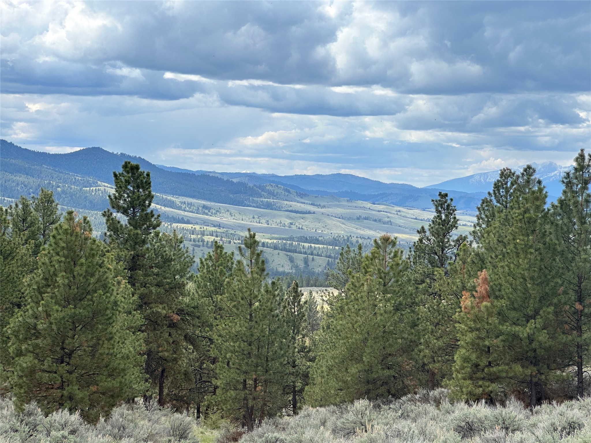 299 Flying Lead Ridge