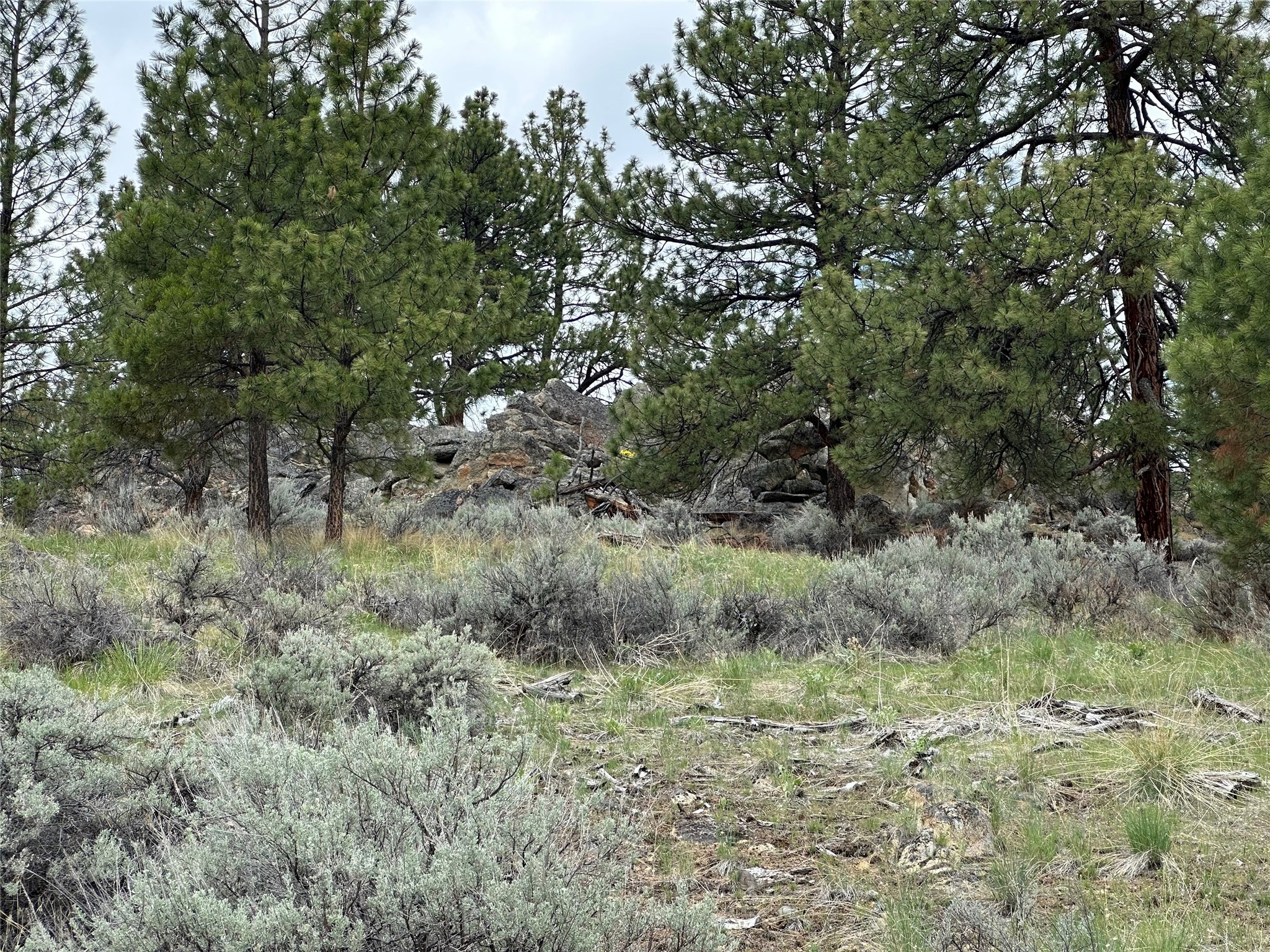 299 Flying Lead Ridge