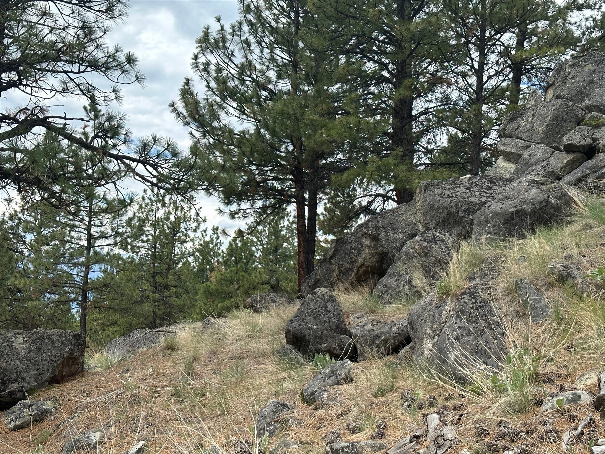 299 Flying Lead Ridge