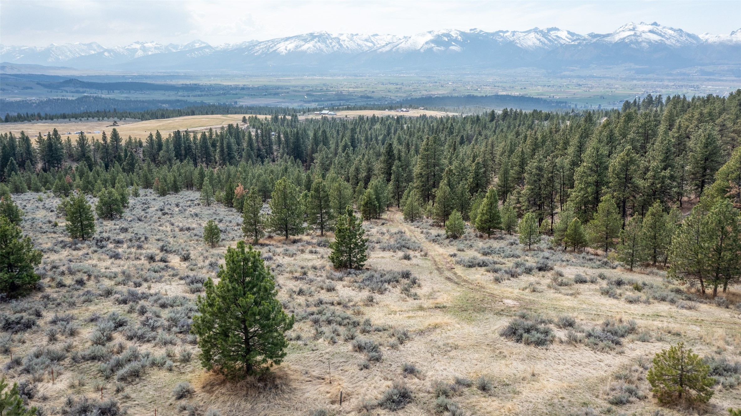 299 Flying Lead Ridge