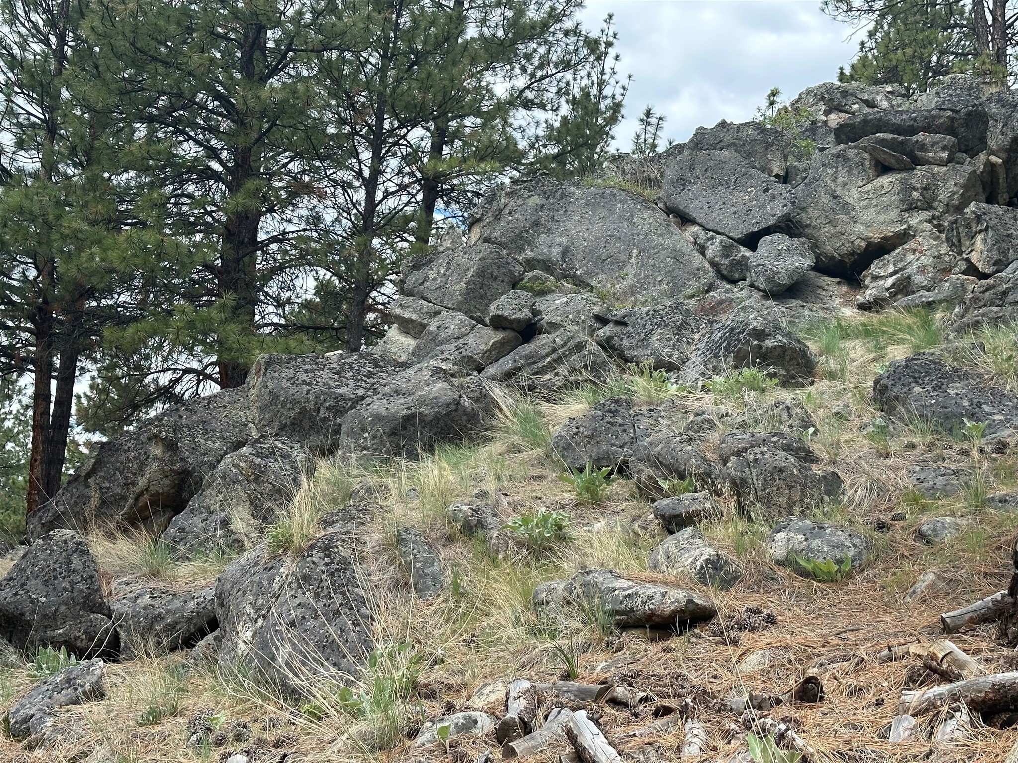299 Flying Lead Ridge