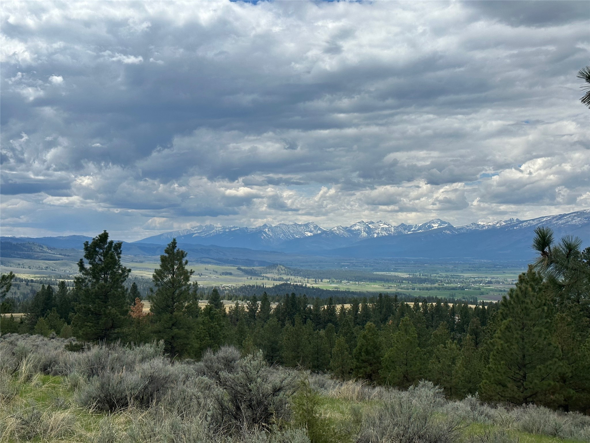 299 Flying Lead Ridge