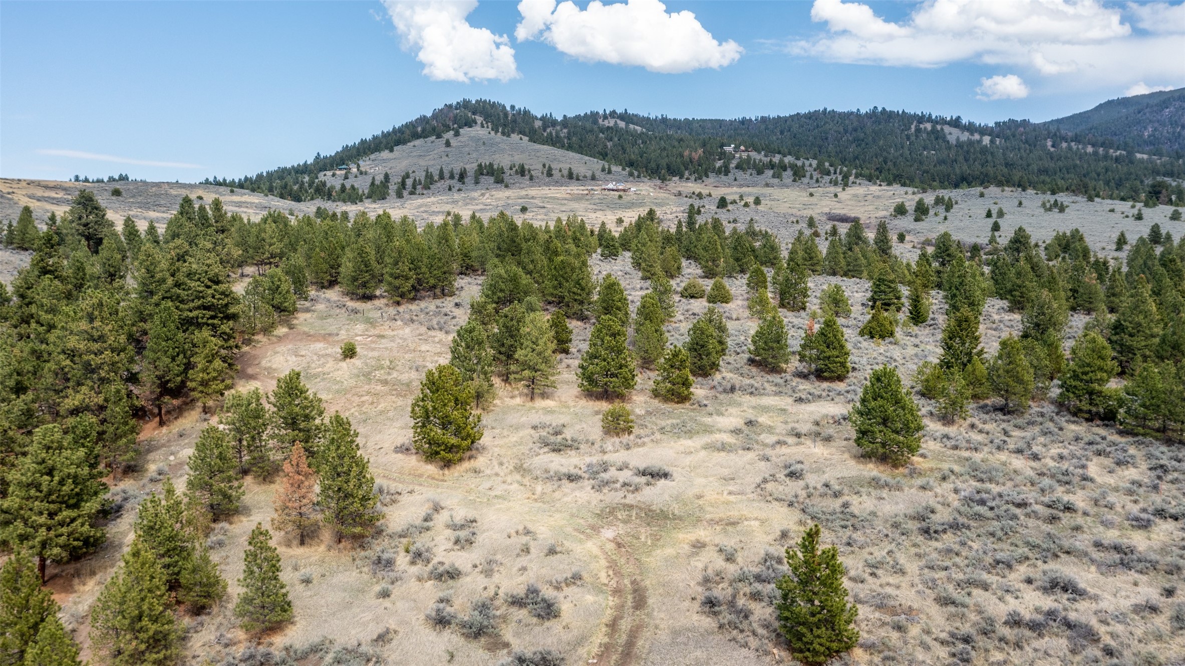 299 Flying Lead Ridge