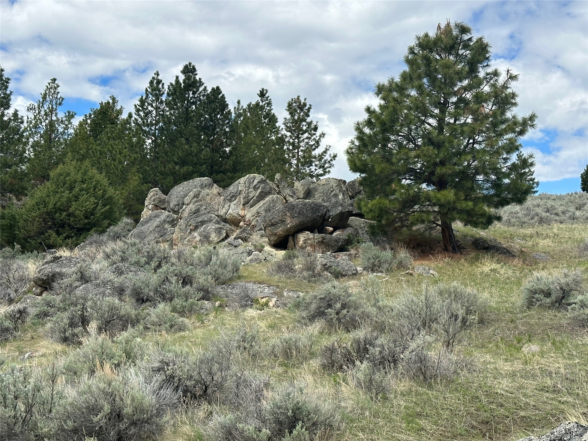 299 Flying Lead Ridge