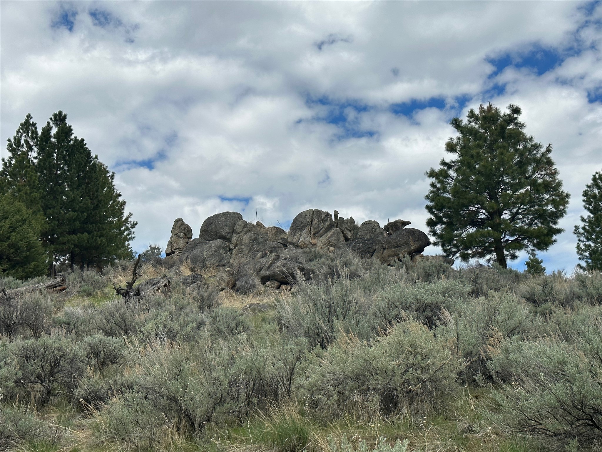 299 Flying Lead Ridge