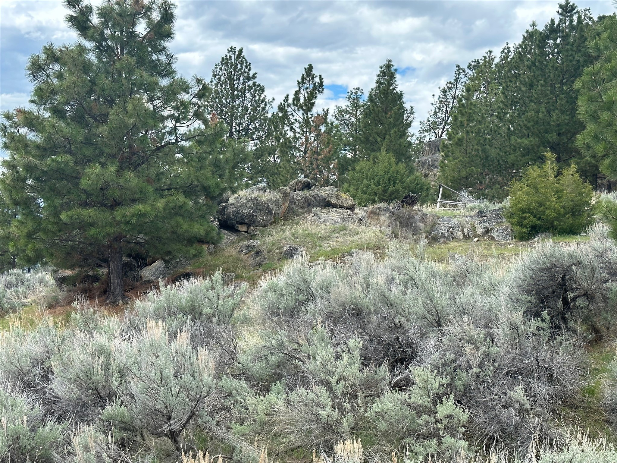 299 Flying Lead Ridge