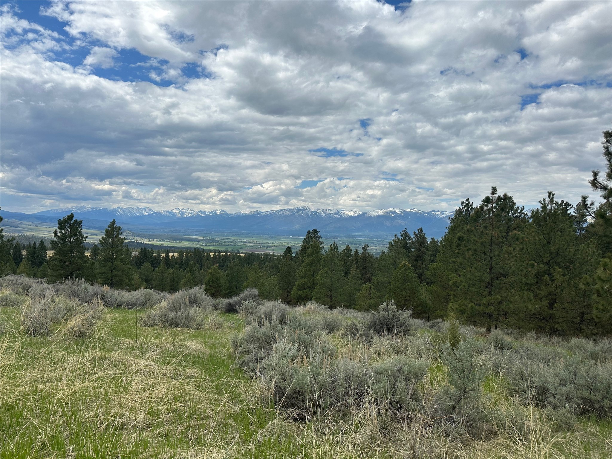 299 Flying Lead Ridge