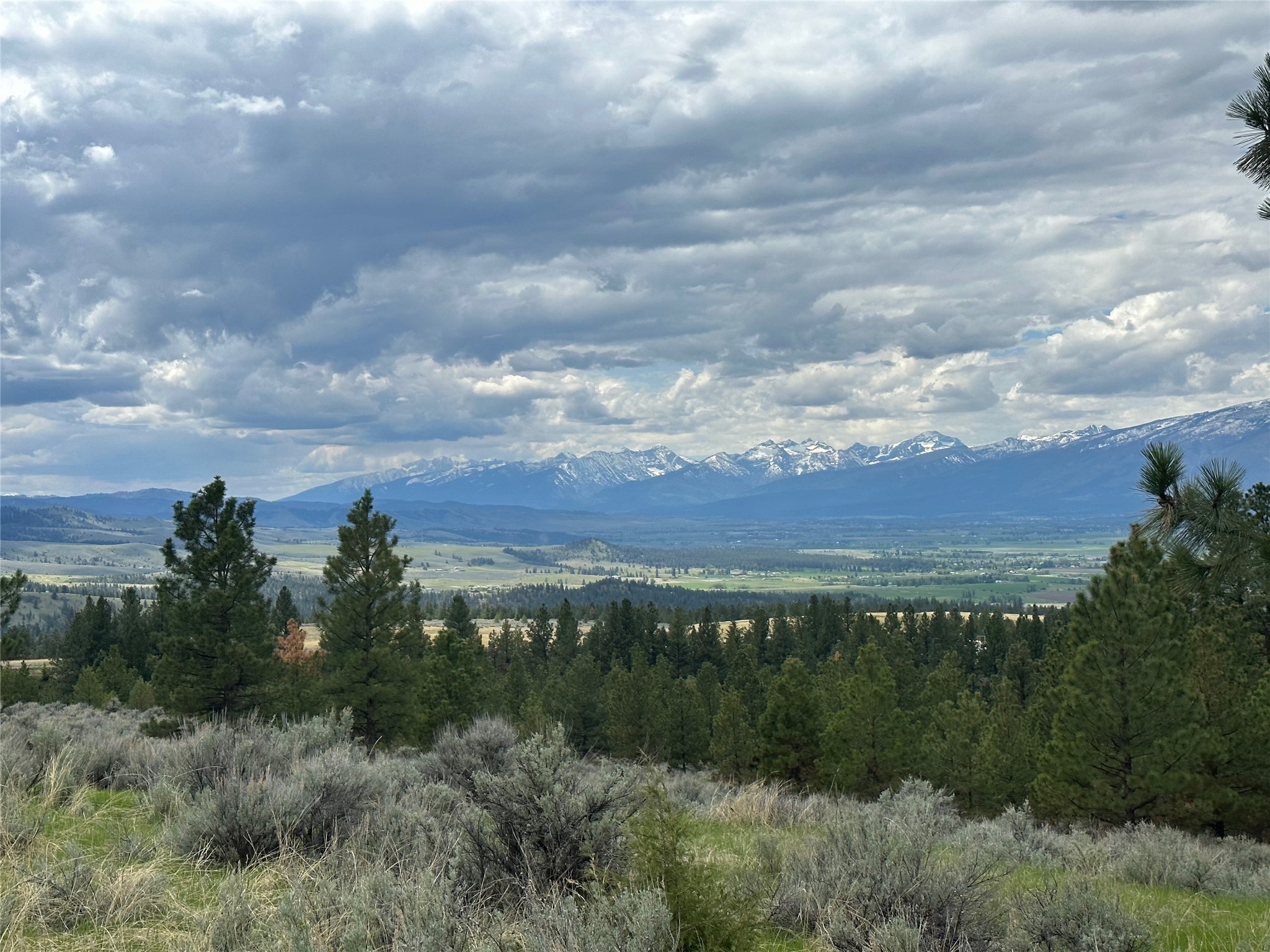 299 Flying Lead Ridge