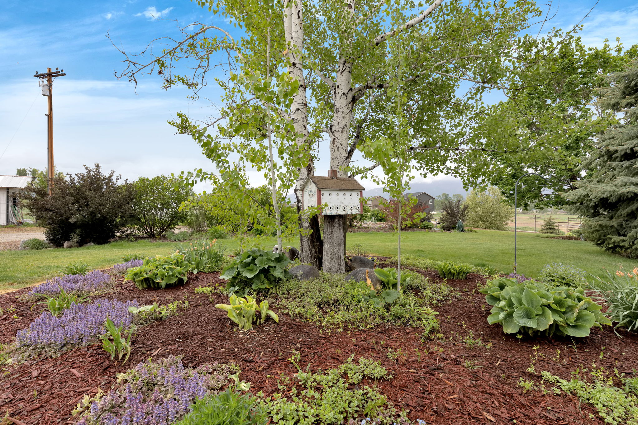 551 Fox Meadow Lane