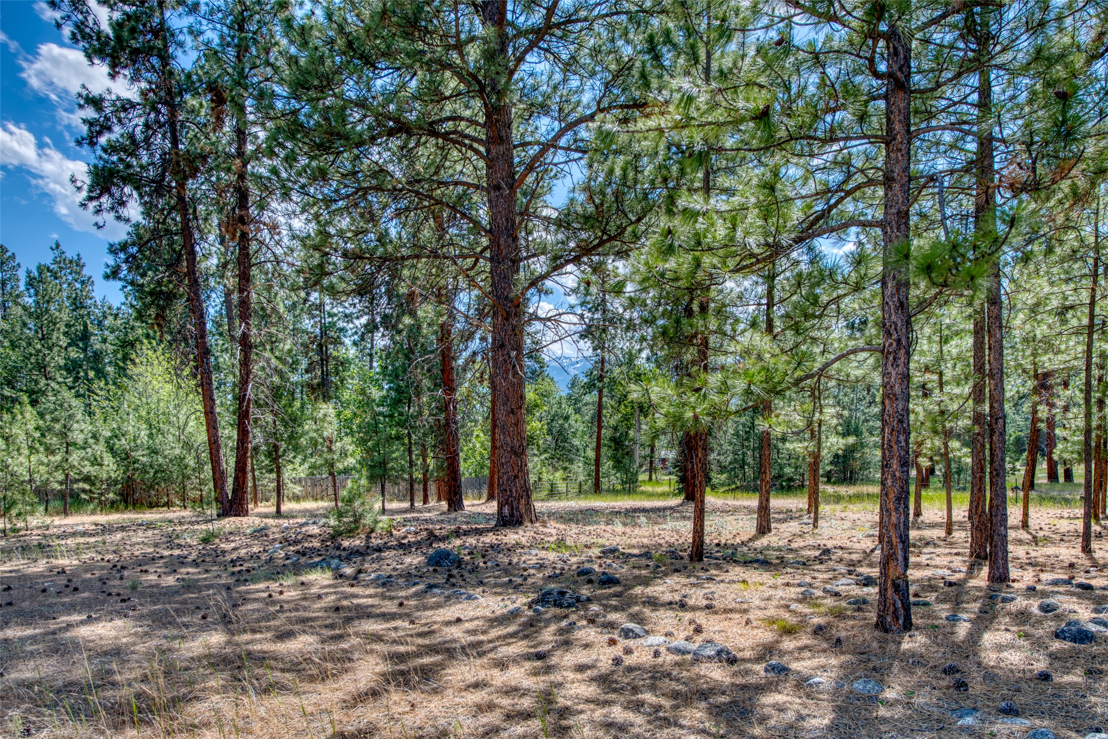409 Mill Creek Road
