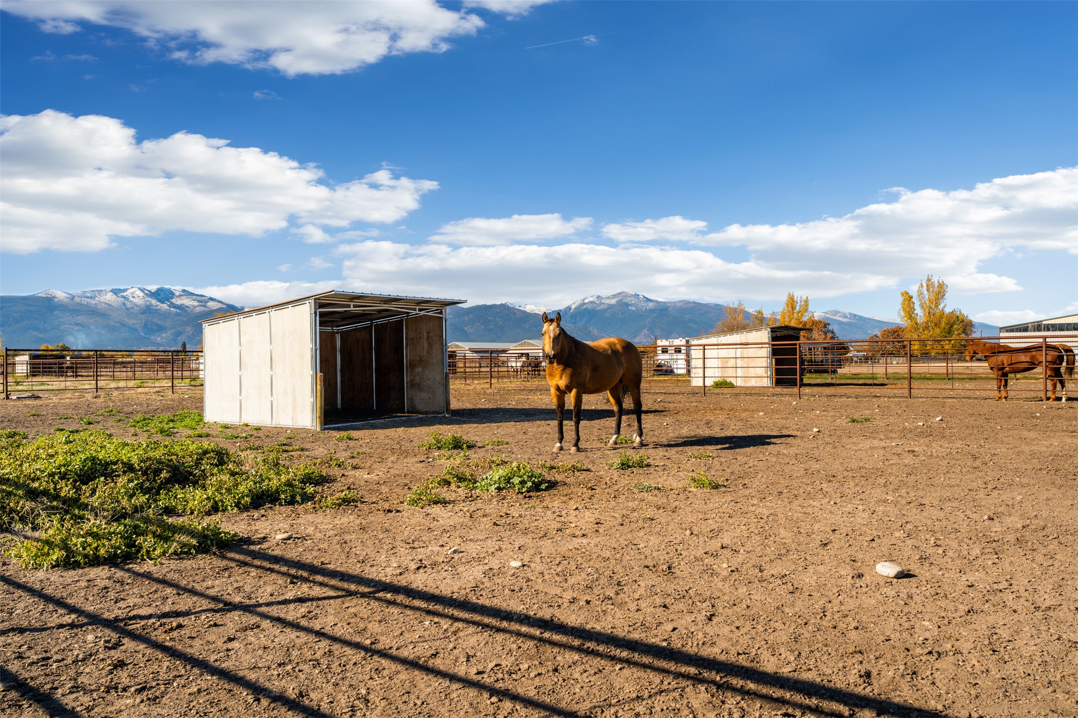 224 Rusty Spur Way