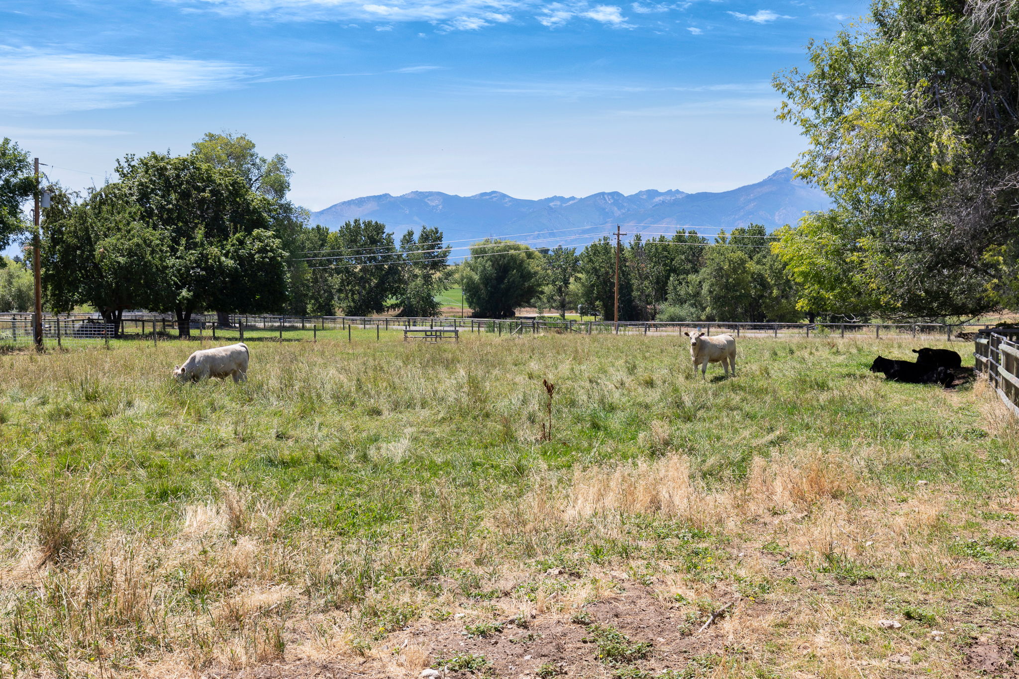 1420 Summerdale Road