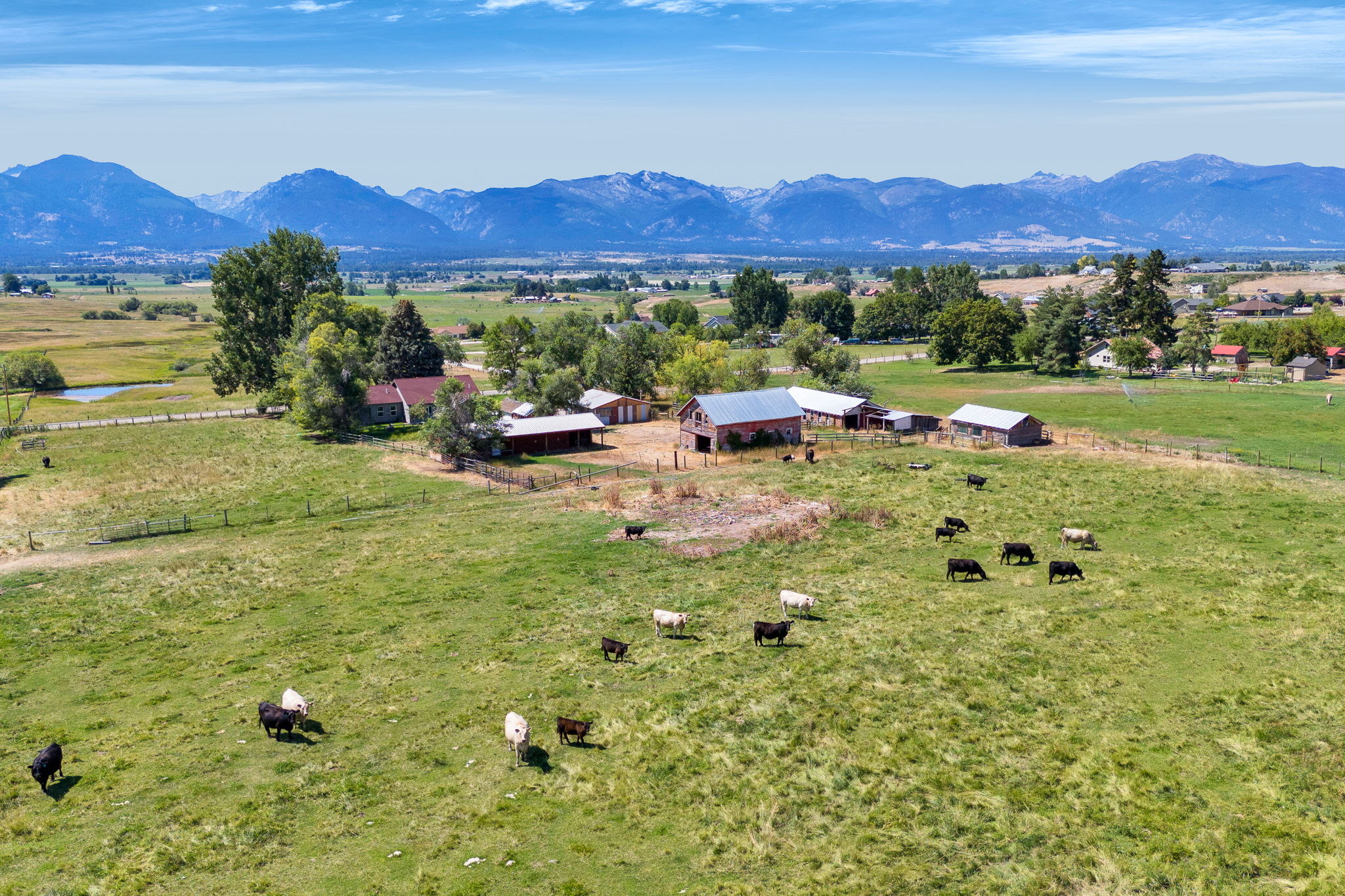 1420 Summerdale Road