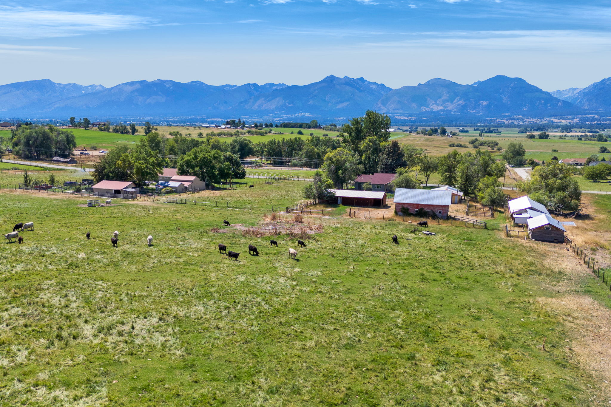 1420 Summerdale Road