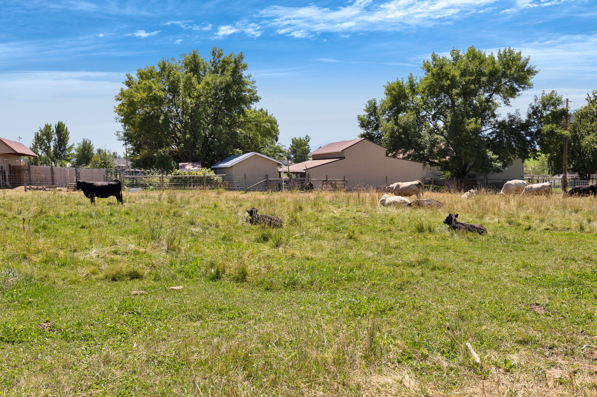 1420 Summerdale Road