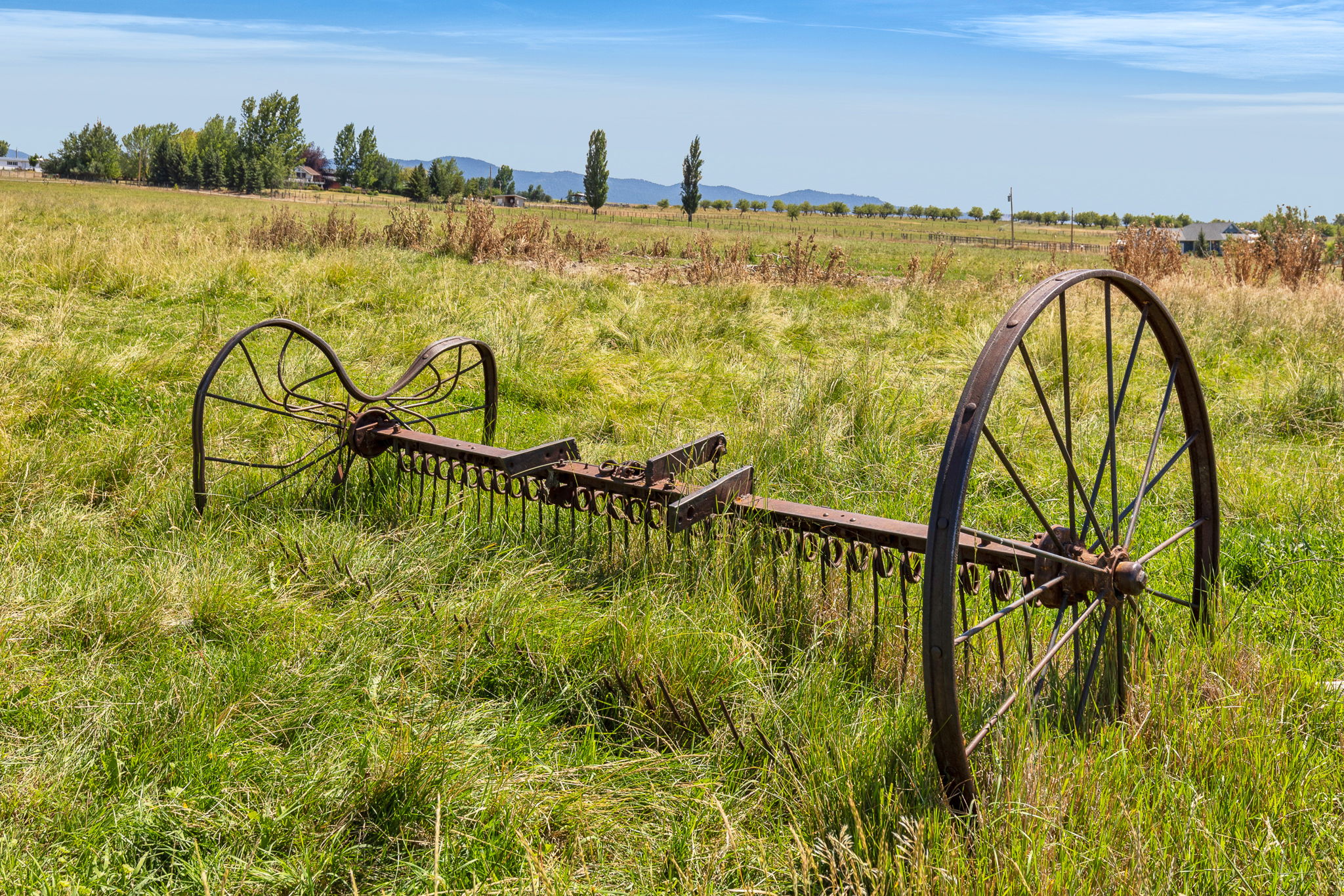 1420 Summerdale Road