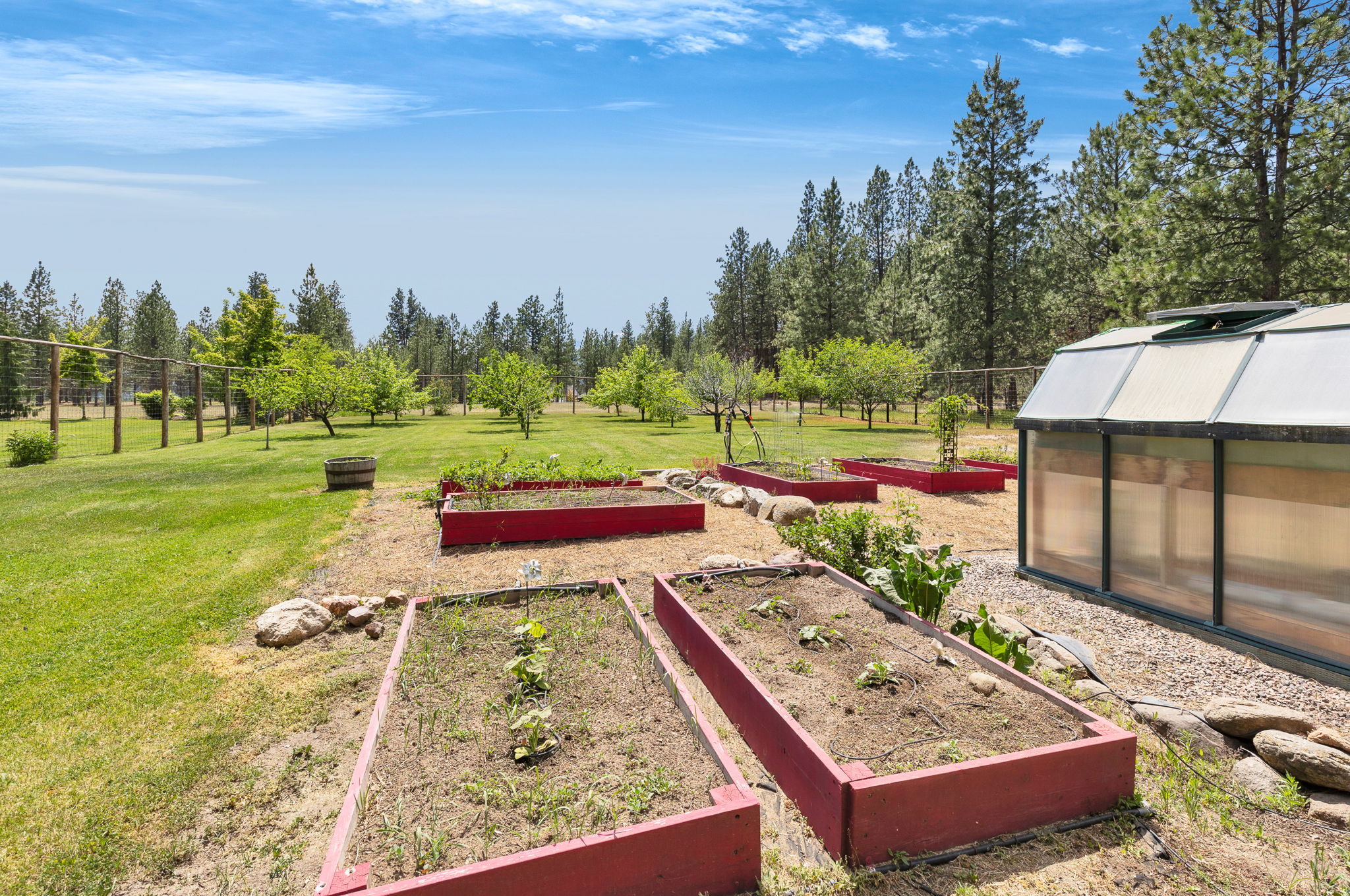 1862 Mountain Meadow Lane